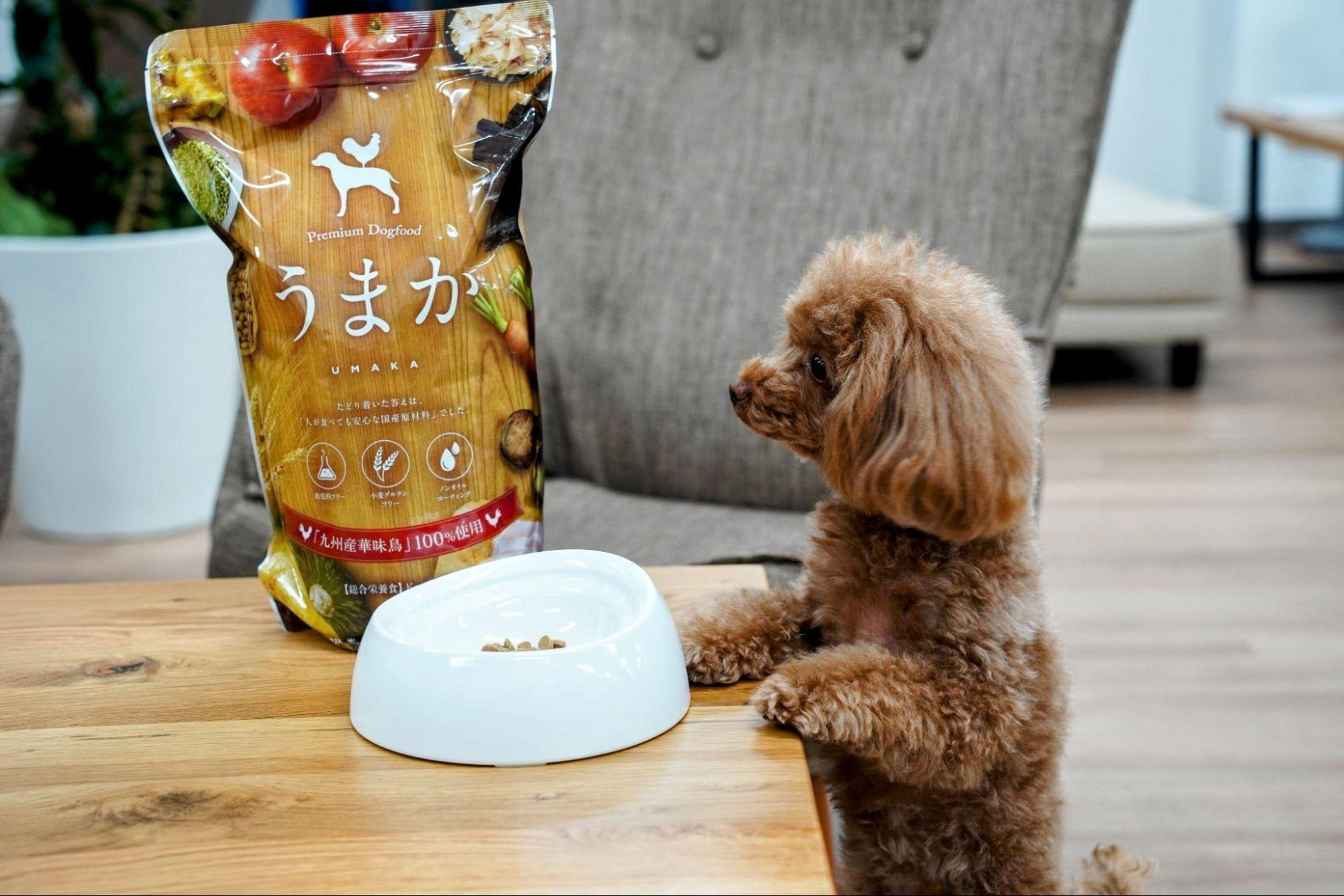 メーカーさんに、聞く！ー水たき料亭がつくったドッグフード