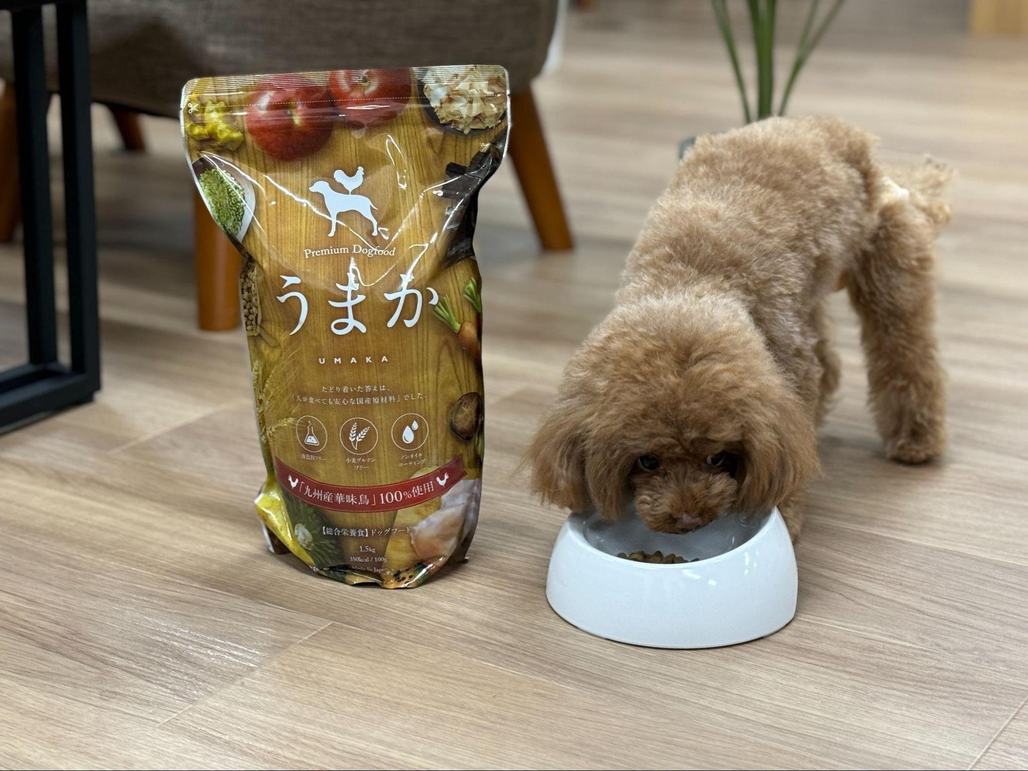 メーカーさんに聞く！ー水たき料亭がつくったドッグフード！？-『うま