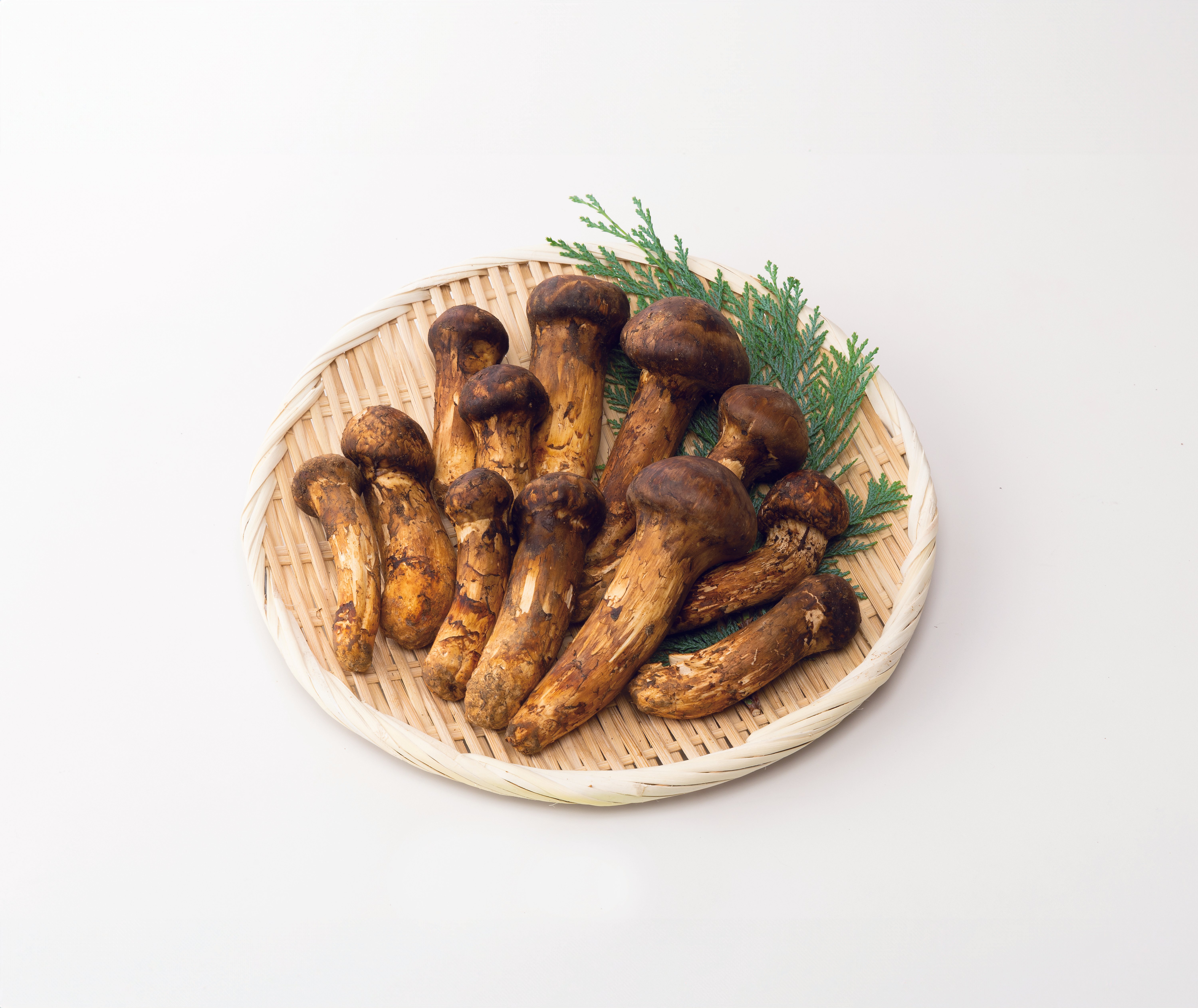 松茸がブータン王国を救う」｜レボニティホールディングス株式会社