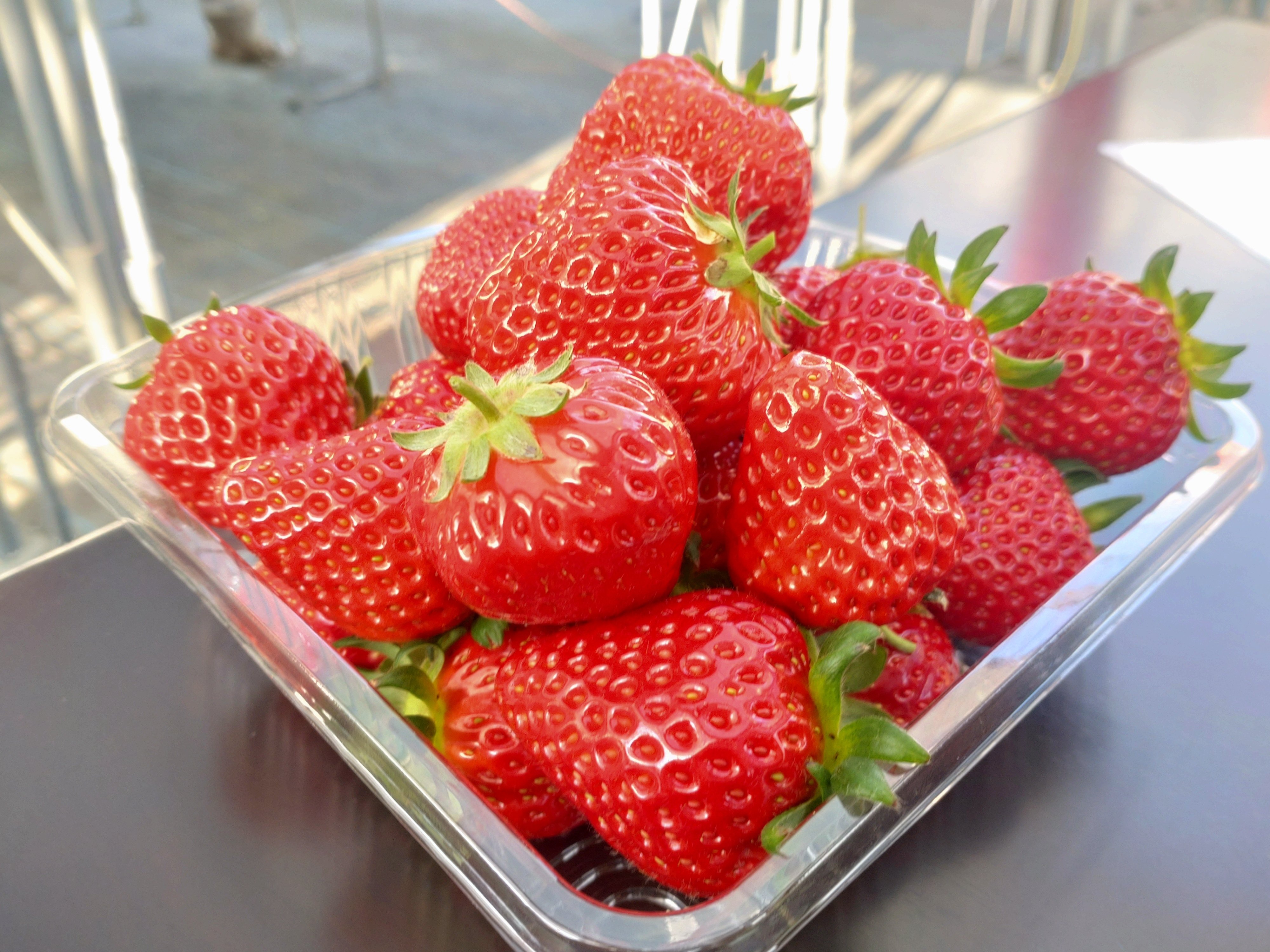 川崎市多摩区】旬の品種をいちご狩り!30分食べ放題の幸せ家族時間 川崎市多摩区】旬の品種をいちご狩り!30分食べ放題の幸せ家族時間