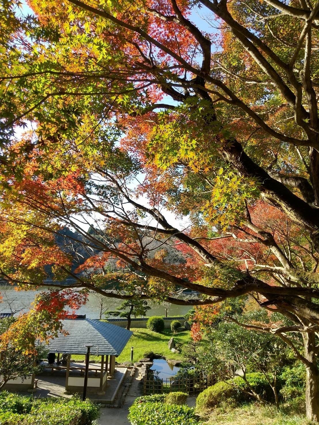 公園で謎解きを楽しもう！～たぬき探偵ジェリー® 妖精のふしぎな