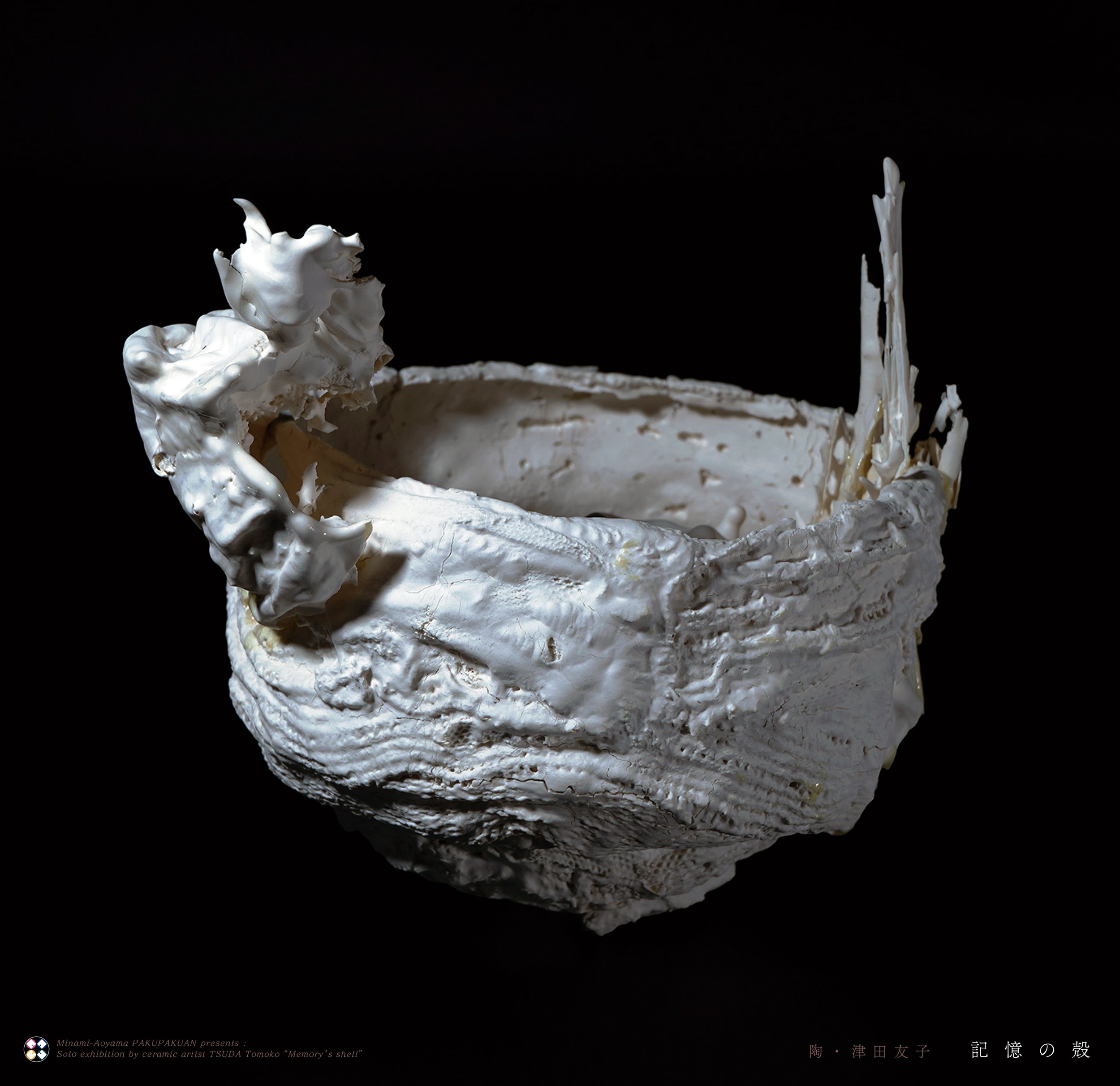 津田友子個展『記憶の殻』 / 作家インタビュー｜白白庵