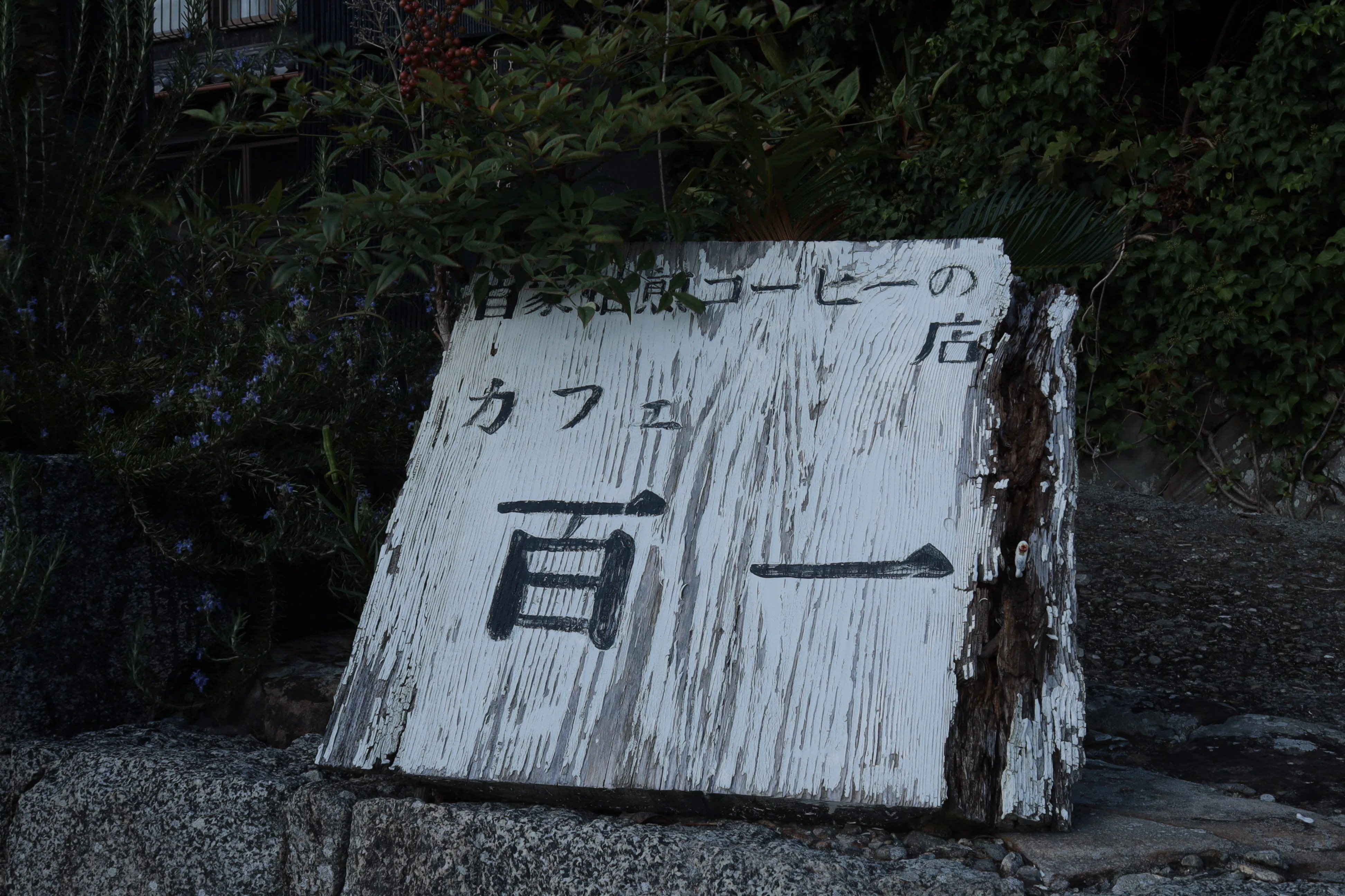 名古屋から行く“愛知”の離島さんぽ。-佐久島編-｜写真好き