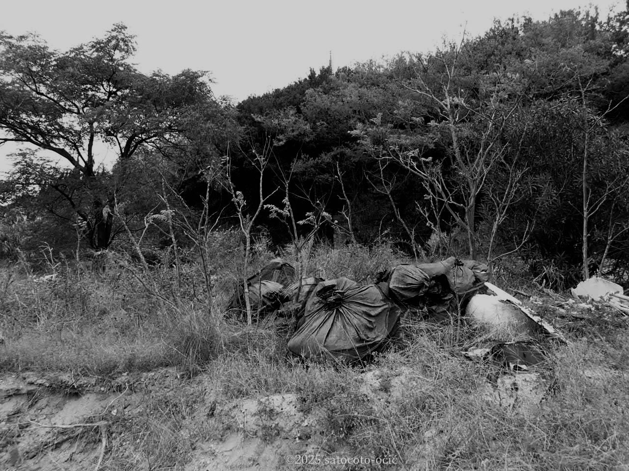 ◇ ダダの森の寫眞画室 ◇ 続・大島へ。 瀬戸内国際芸術祭 2025