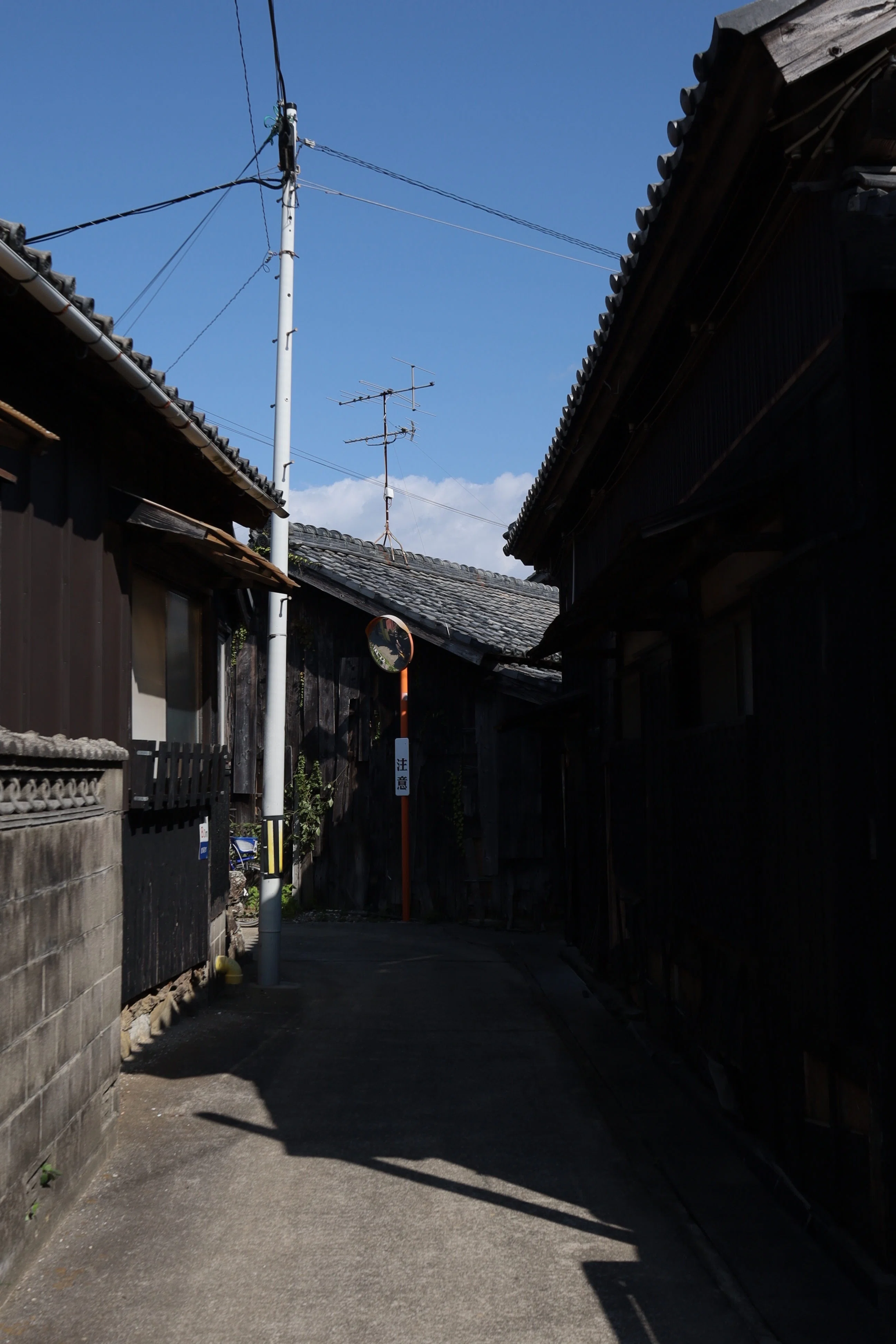 名古屋から行く“愛知”の離島さんぽ。-佐久島編-｜写真好き