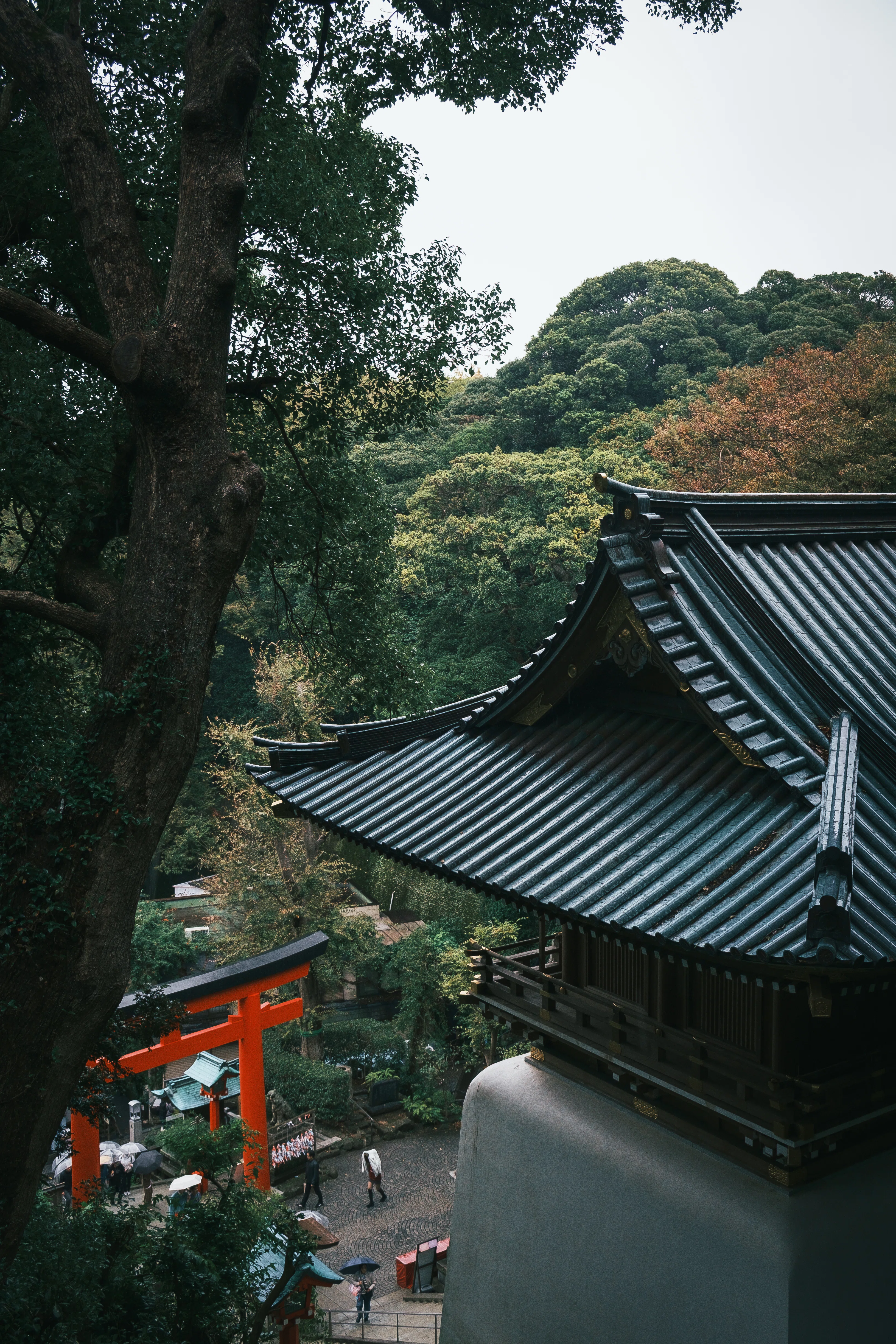 X-pro1とクラシックネガで江ノ島フォトウォーク。｜Osamu Hashimoto