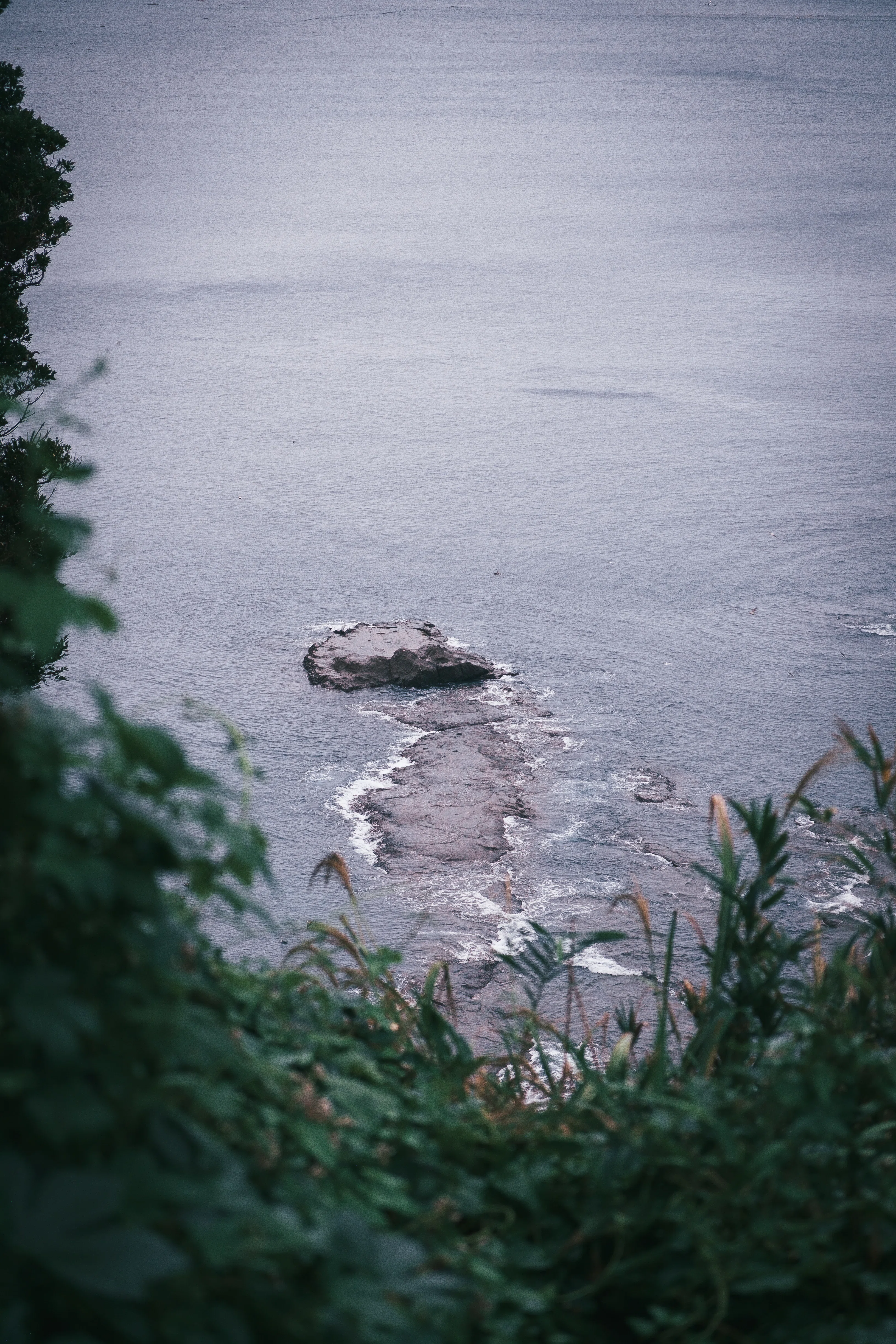 X-pro1とクラシックネガで江ノ島フォトウォーク。｜Osamu Hashimoto