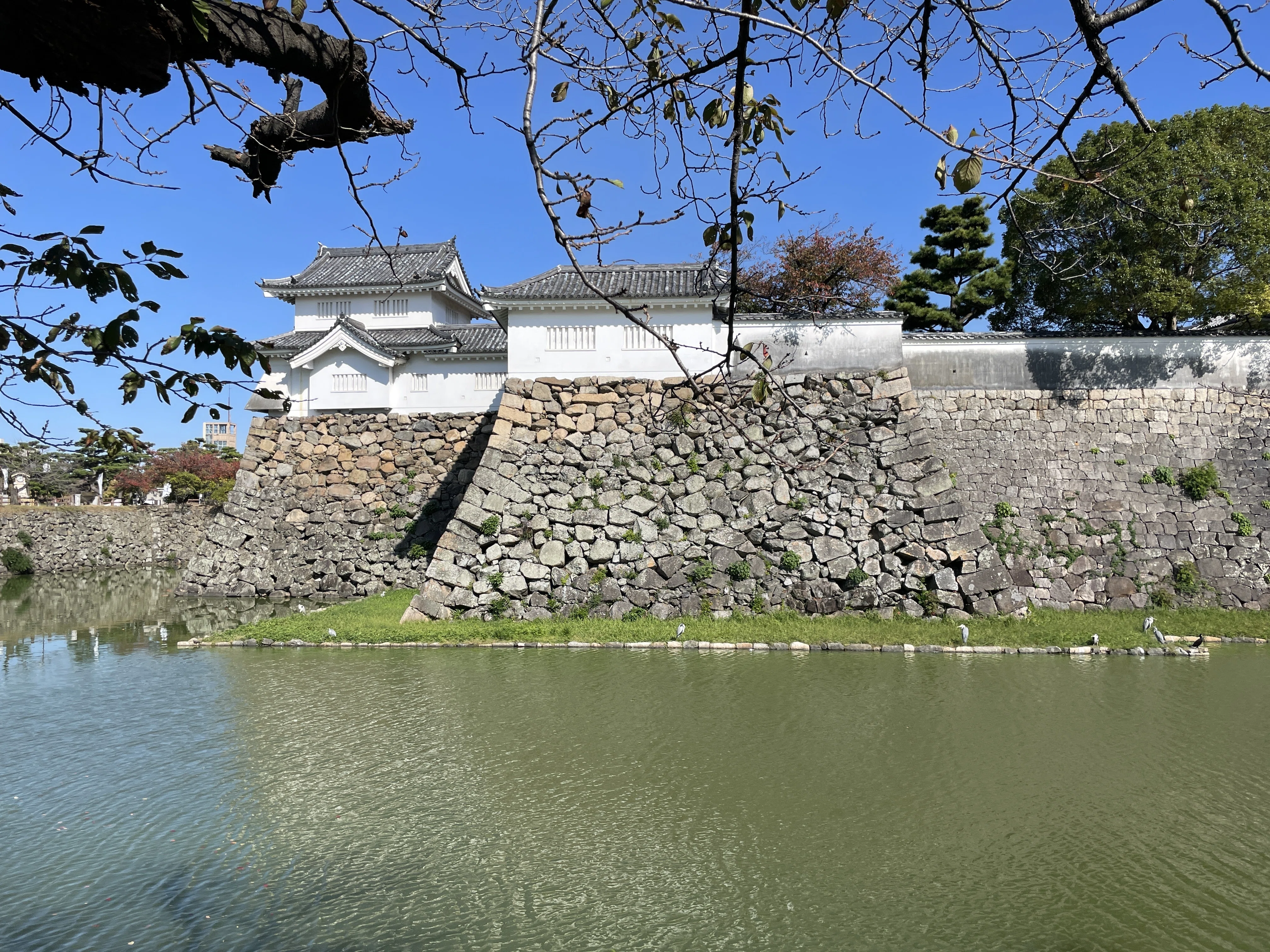 オリジナルから進化した唯一無二のパッケージ：岸和田城 大阪府岸和田