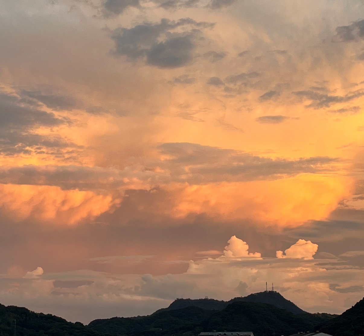 KLR:編集後記、追記｜KyokoMorita_LR