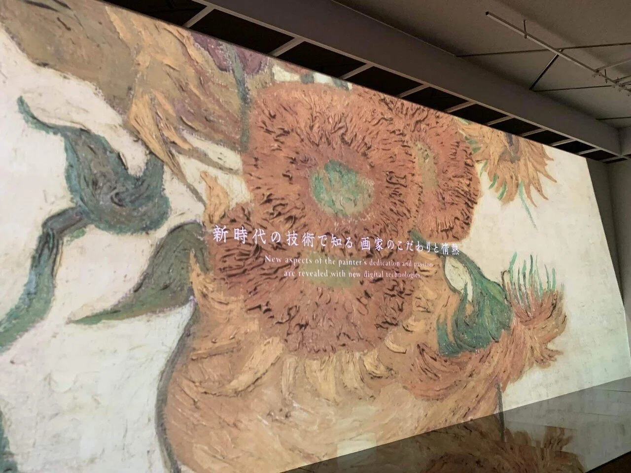ゴッホ】山かと思ったらひまわりでした！イマーシブシアターの”標高
