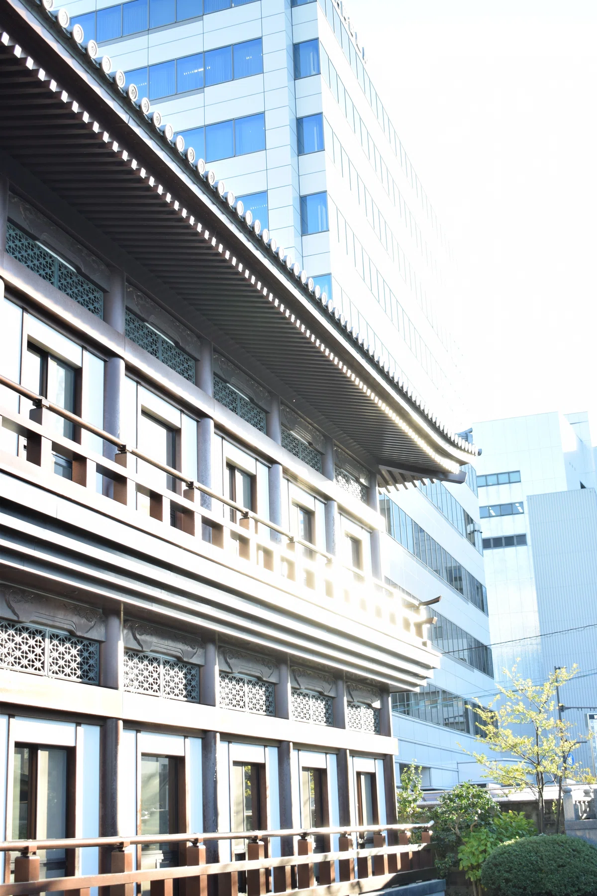 天興庵の壁に反射する西日がまぶしい