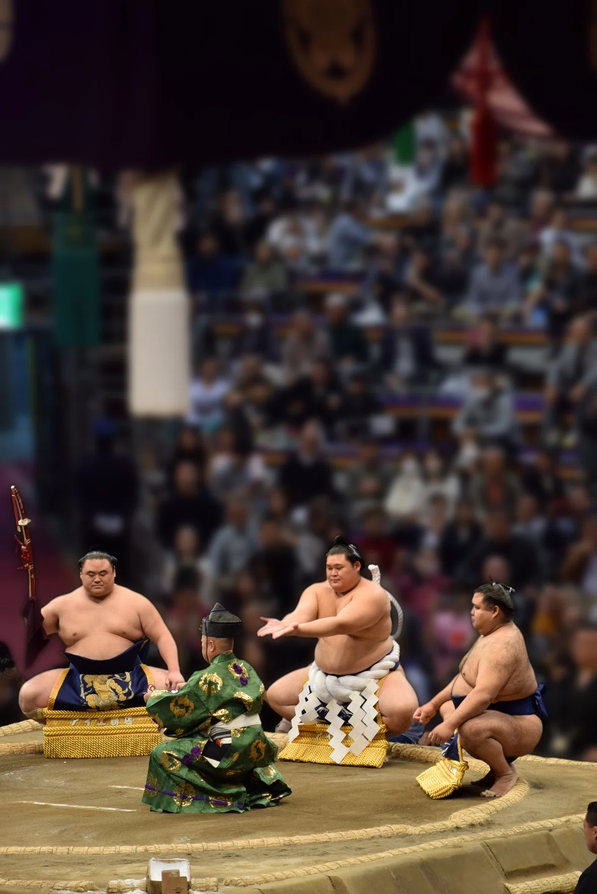 横綱大の里土俵入りの画像