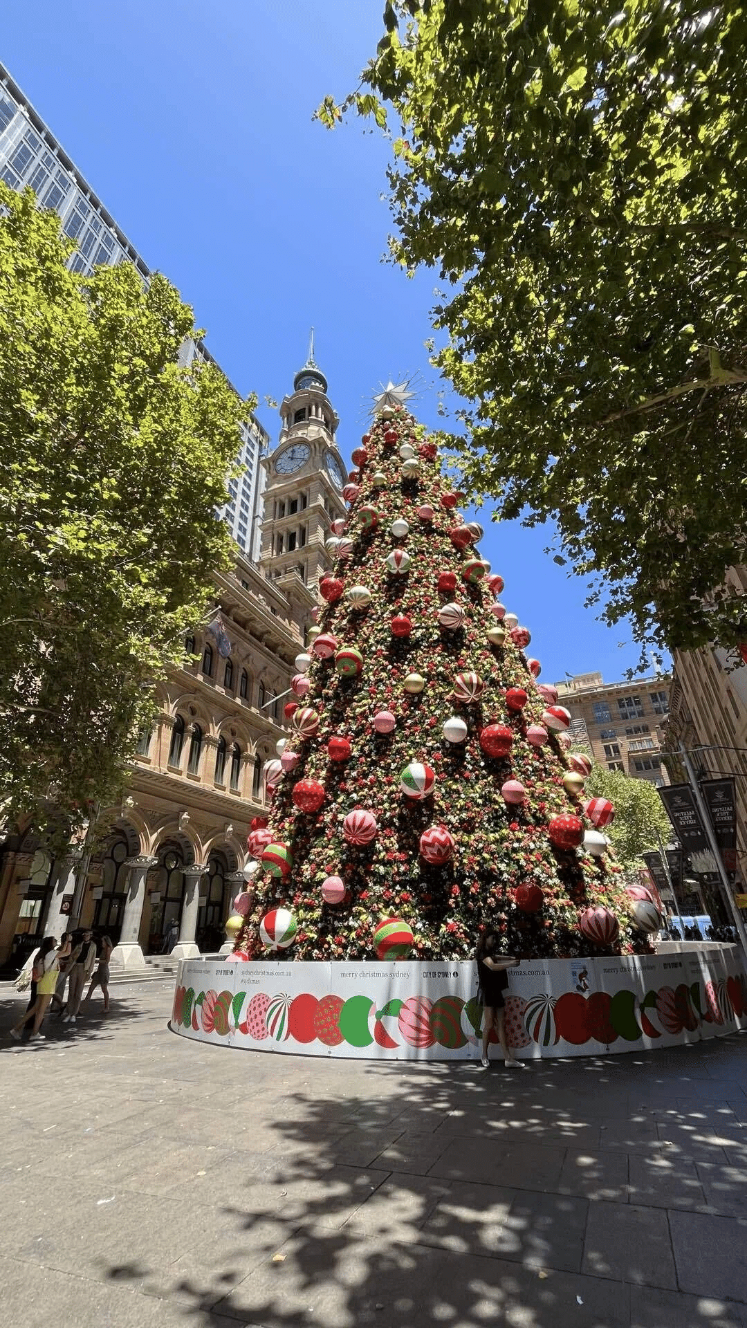 今年もクリスマス限定ドーナツ！｜シドニー日常レポ(mao_toko)