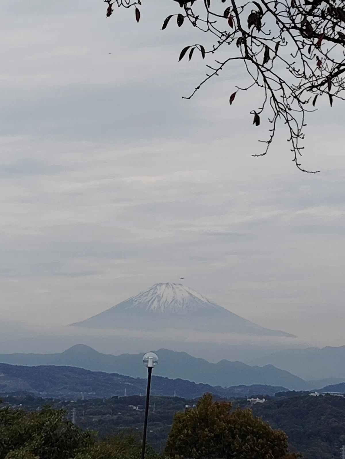 【写真 8ぶんの5 湘南平から西側方向の山の向こうに富士山が浮かぶ写真】