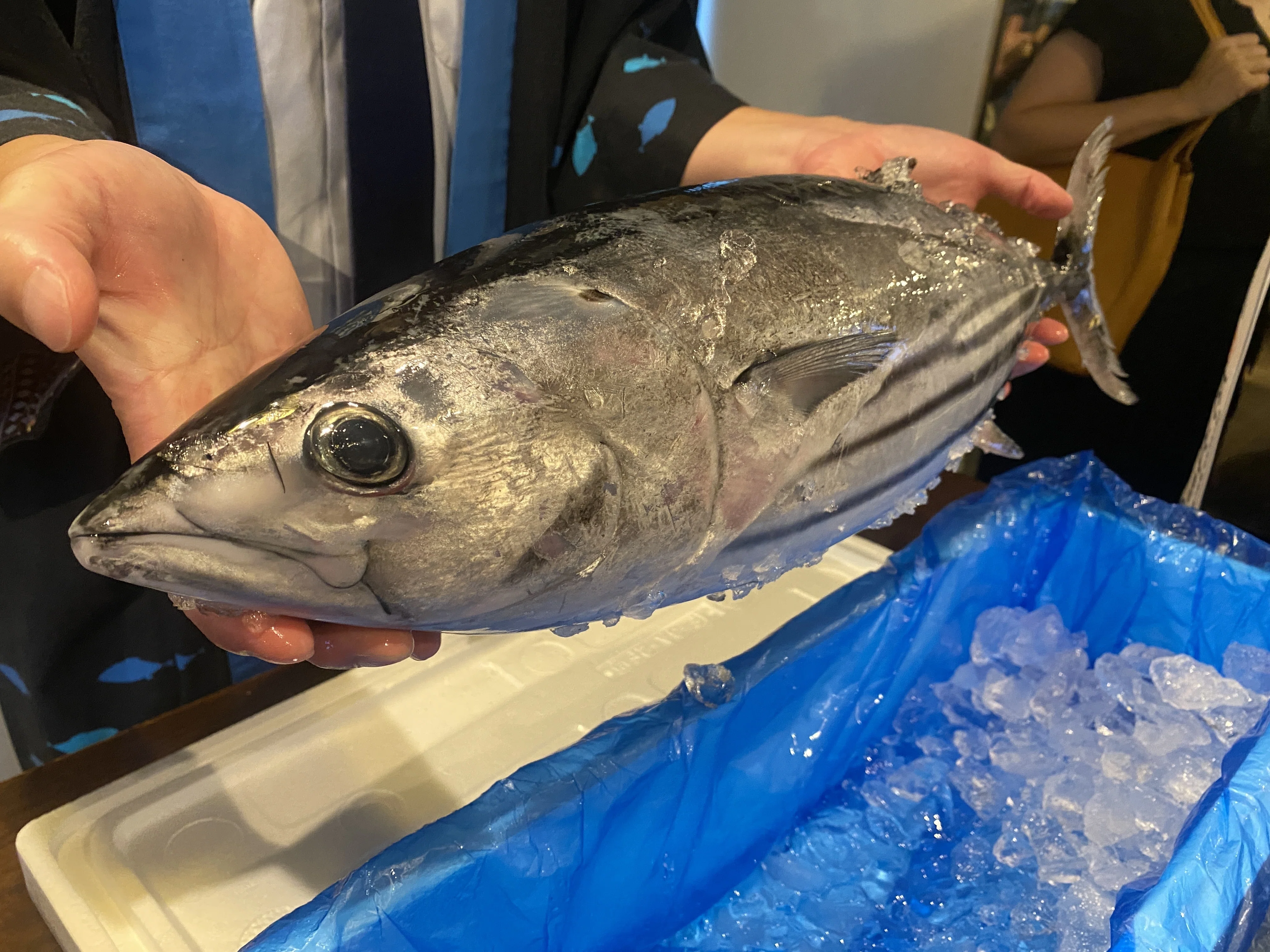 開催レポート】 「かつお=高知」だけじゃない！気仙沼が挑む、地域産品