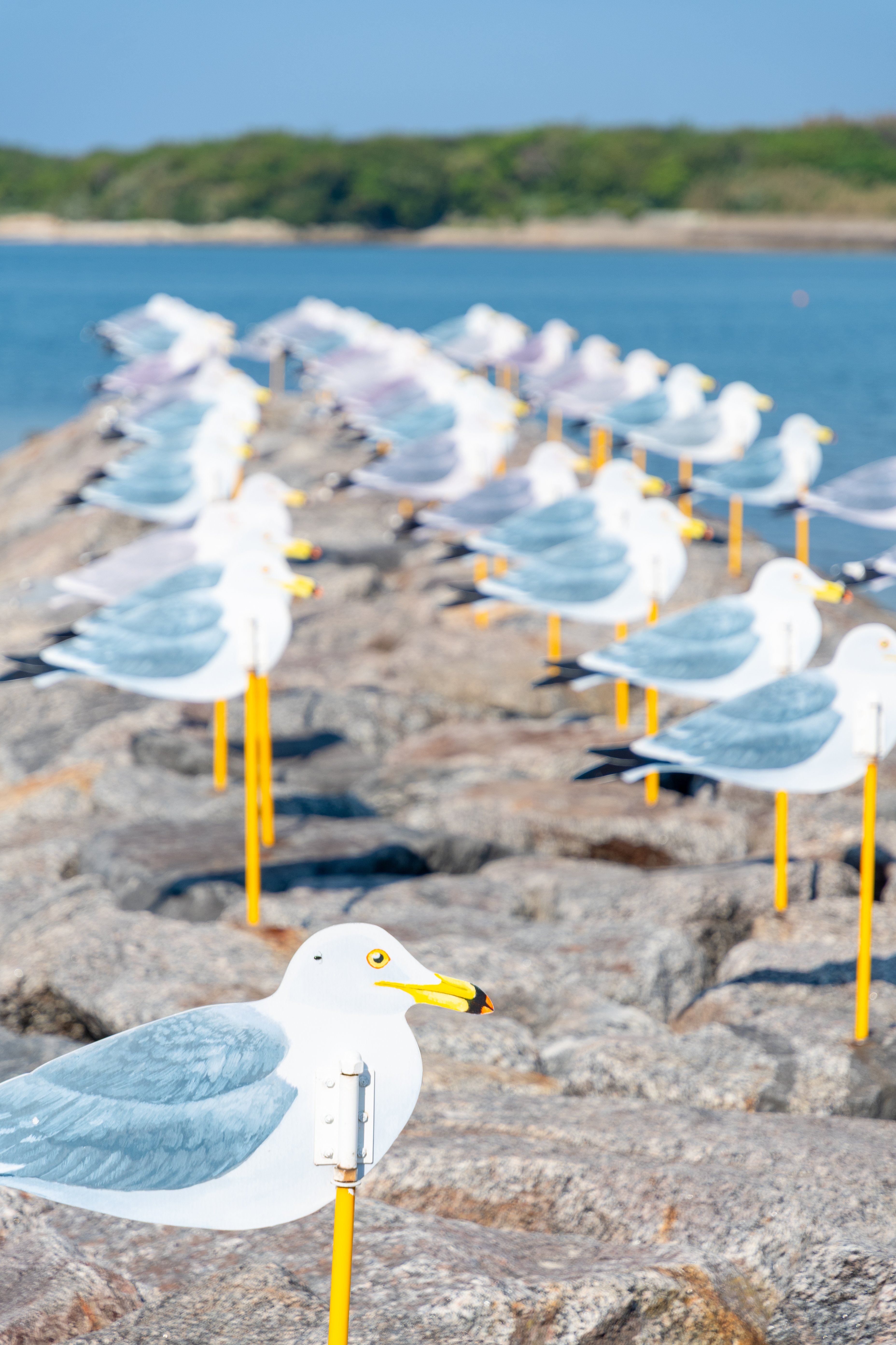 愛知離島の旅｜1日目 【佐久島】｜たいすけ ｜ 旅の記録