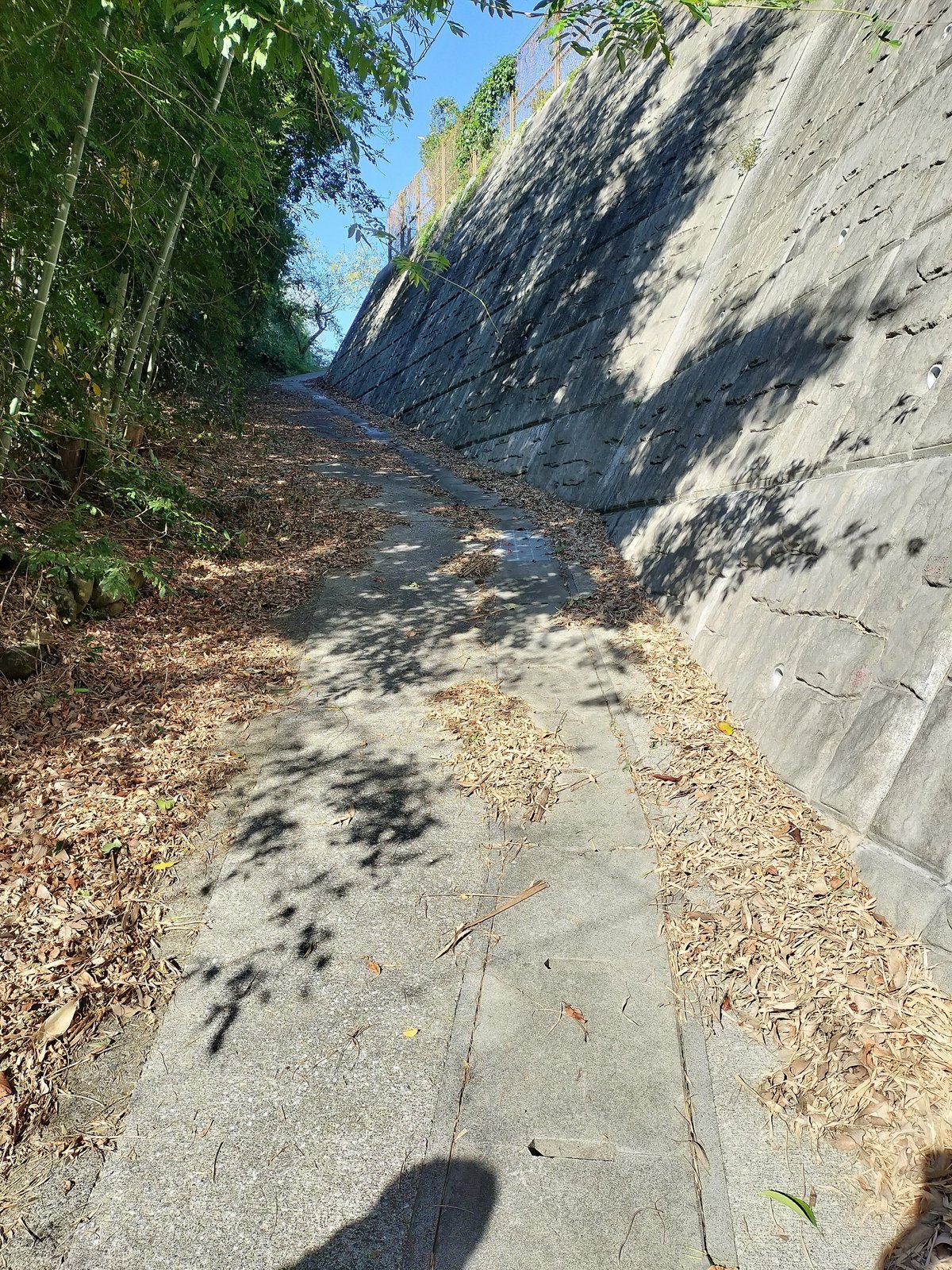 高知県、田野学館へ続く下駄割り坂の写真。