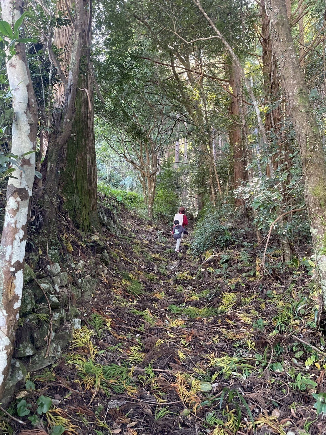 中岡慎太郎が歩いたと言われる向学の道。