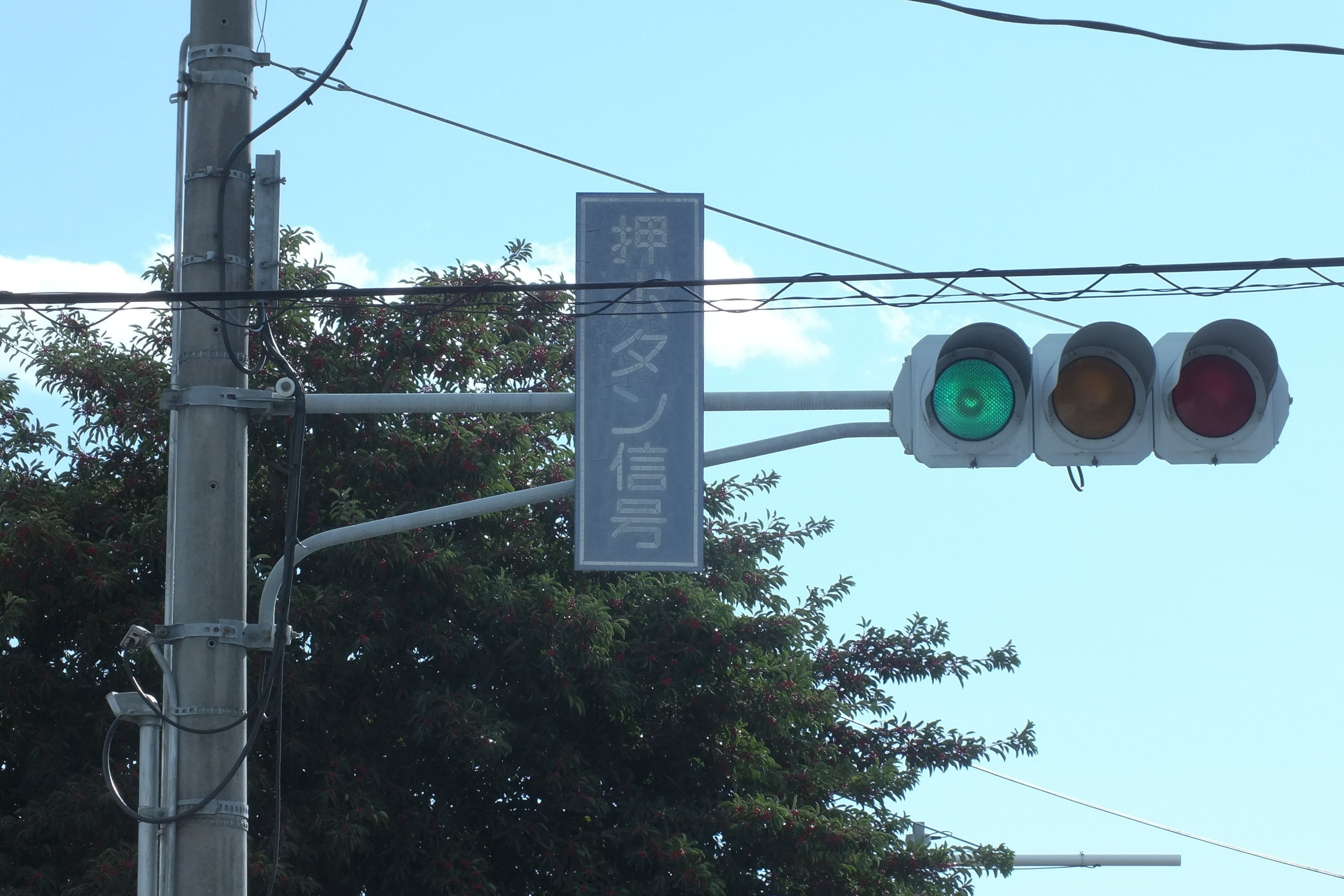 信号機 本物 レンズ 本庄-155】本庄市西富田南西にある日信セパブツブツレンズ250㎜と日信