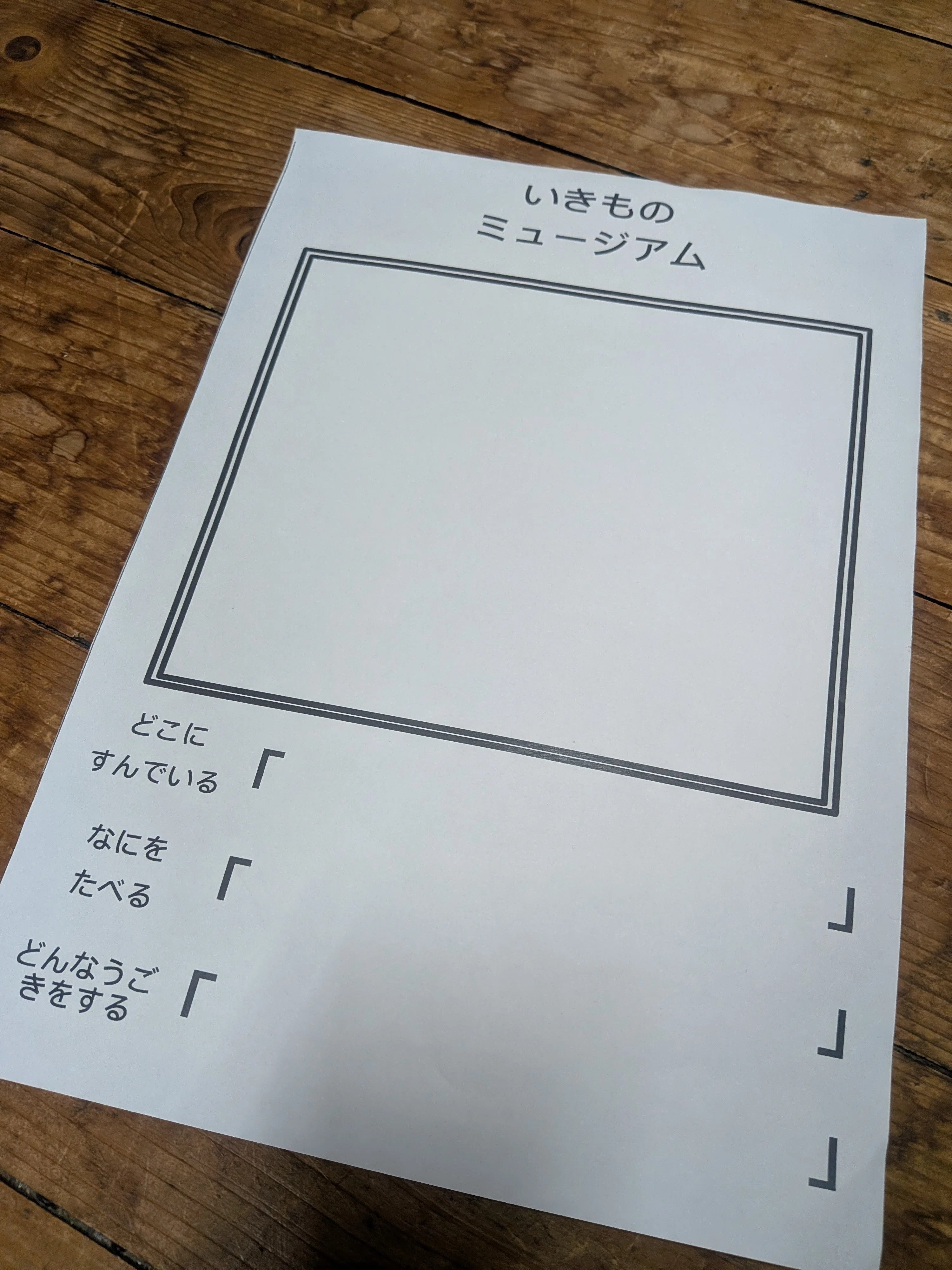図鑑シート