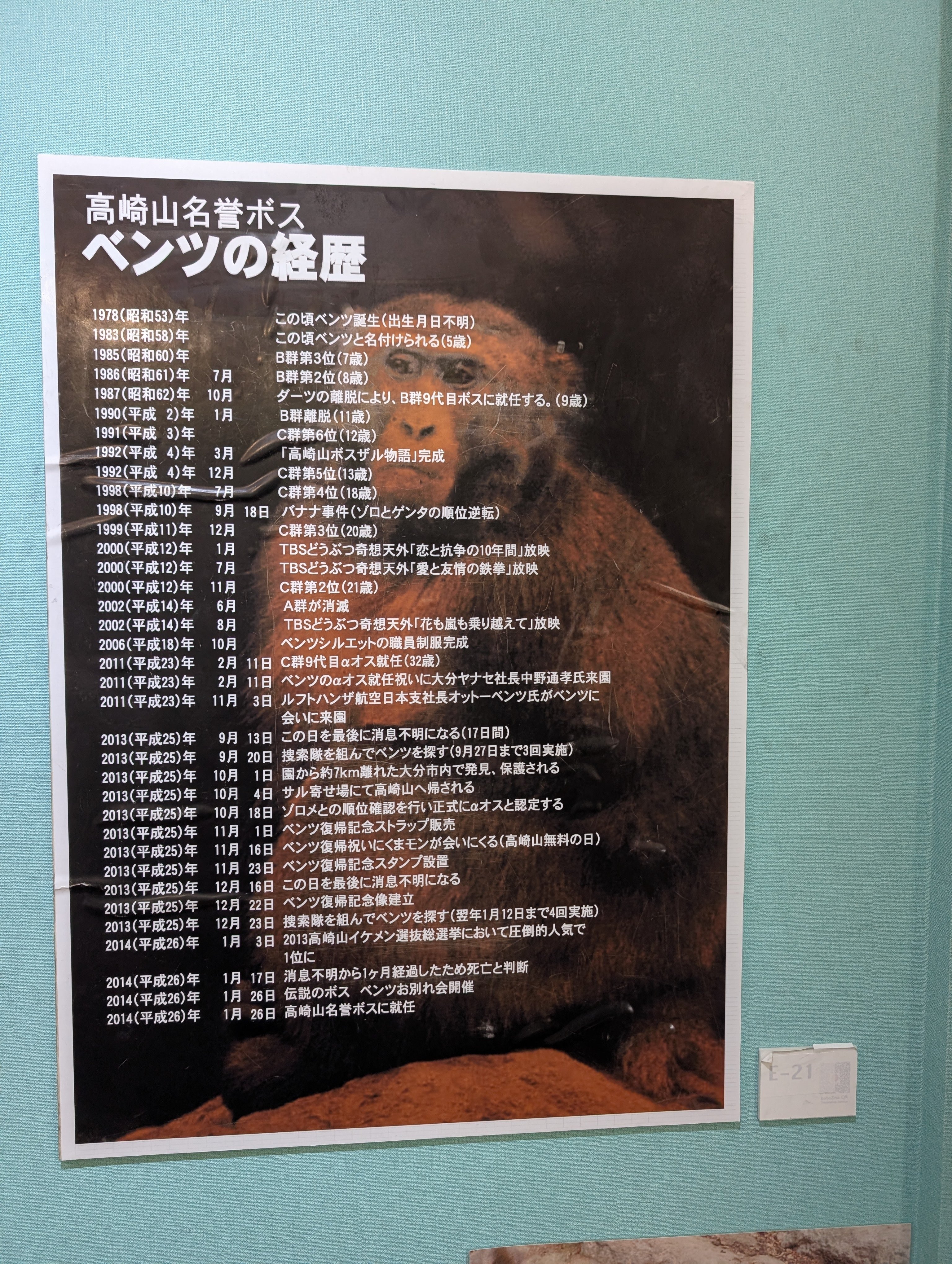 7月、うみたまごのセイウチと高崎山の猿に会いに行った話・2｜灰音