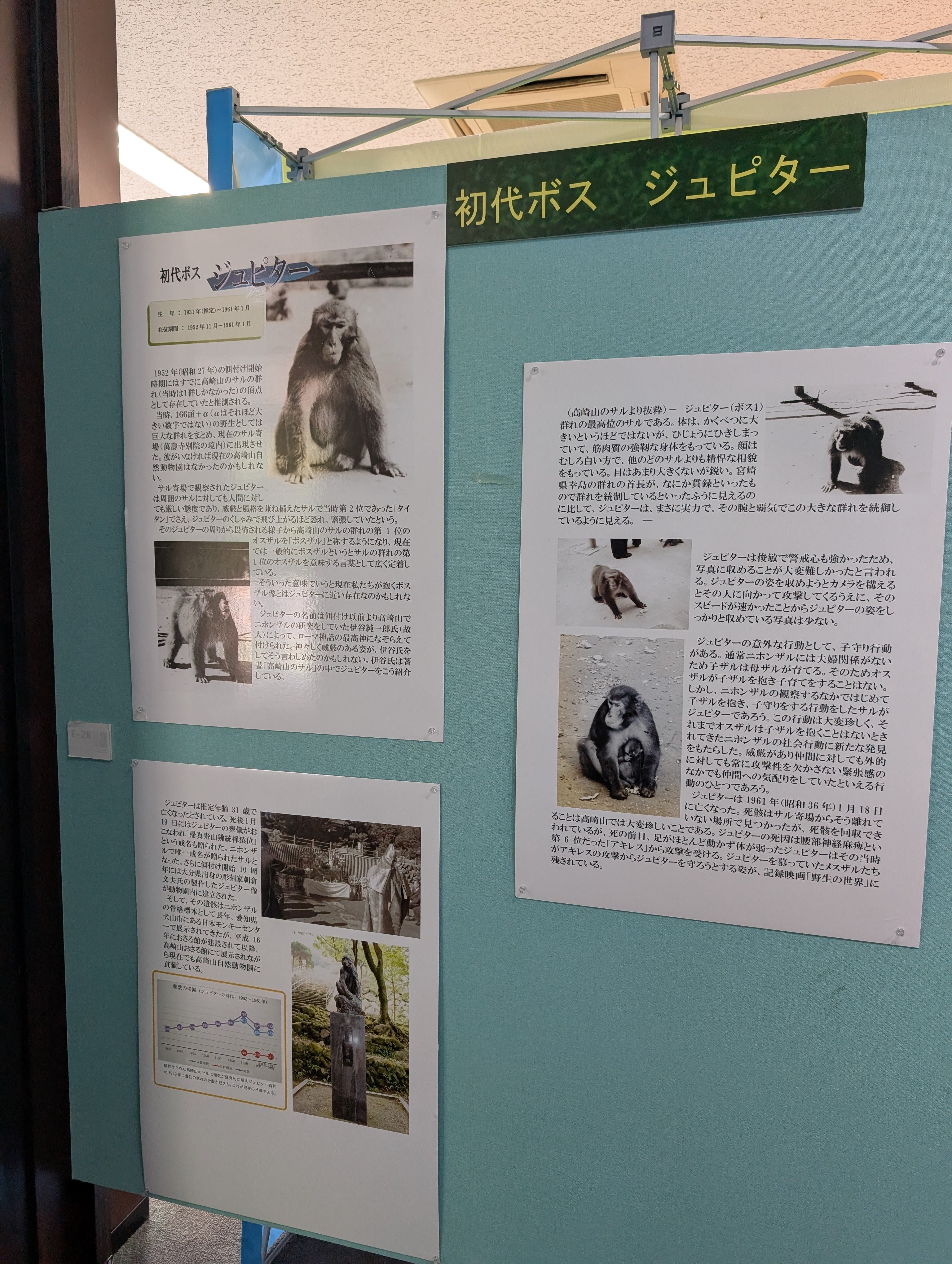 7月、うみたまごのセイウチと高崎山の猿に会いに行った話・2｜灰音