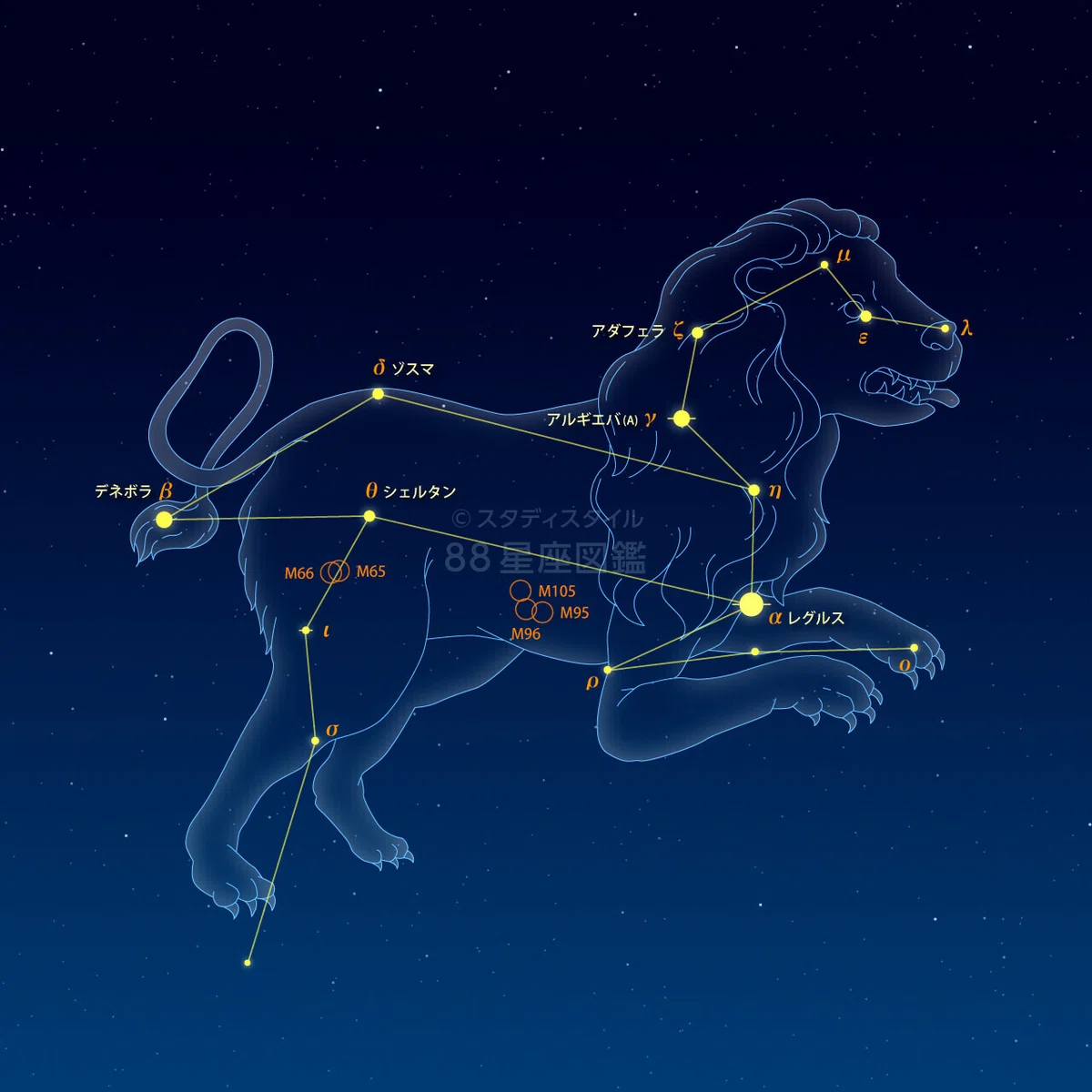 【獅子座】あなたの中の太陽を信じて|誇りと愛で生きる“王者の星座”|占い師こうへい🦁🌞|星座占い「占い師こうへい」