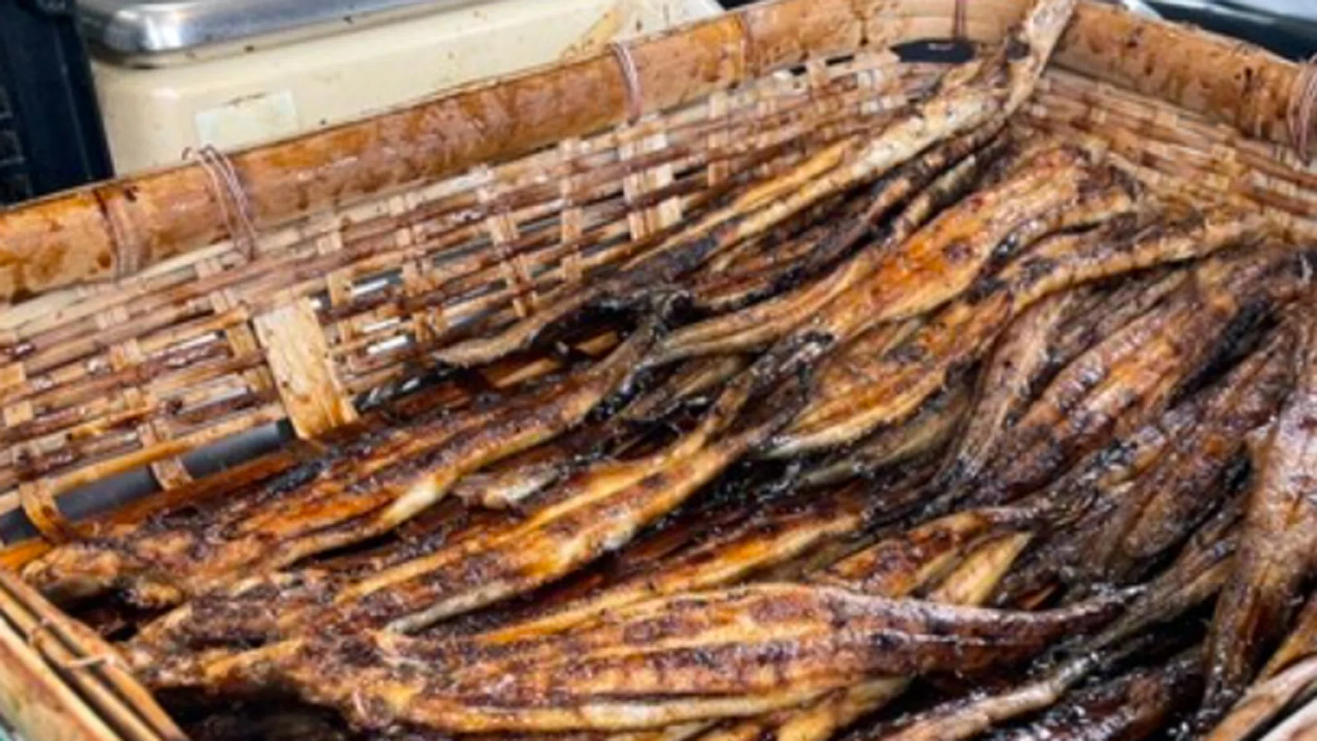 魚 増 水産