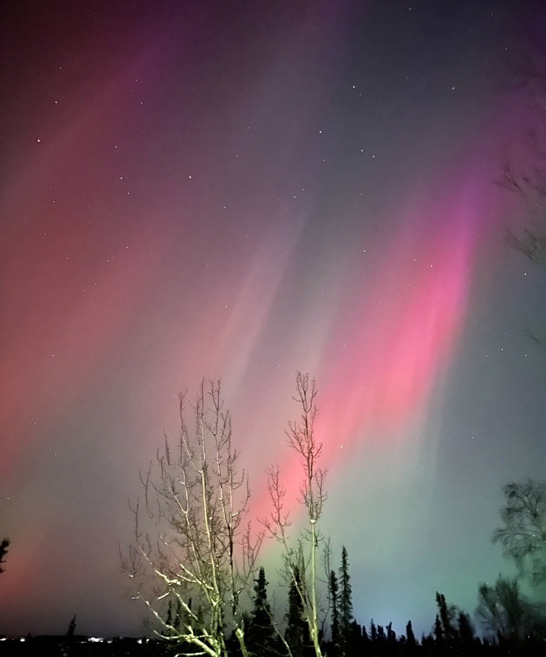 今季初のオーロラが見えた in アラスカ｜ゆかかか@ハワイ→アラスカ