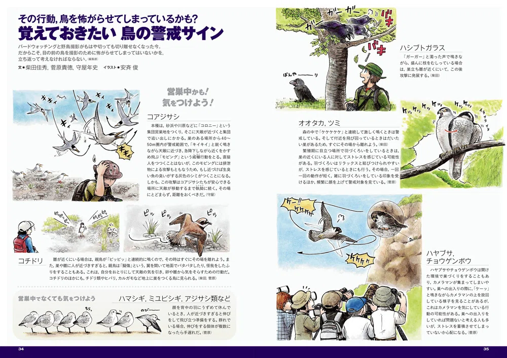 BIRDER12月号の見どころ｜ブンイチ（文一総合出版）