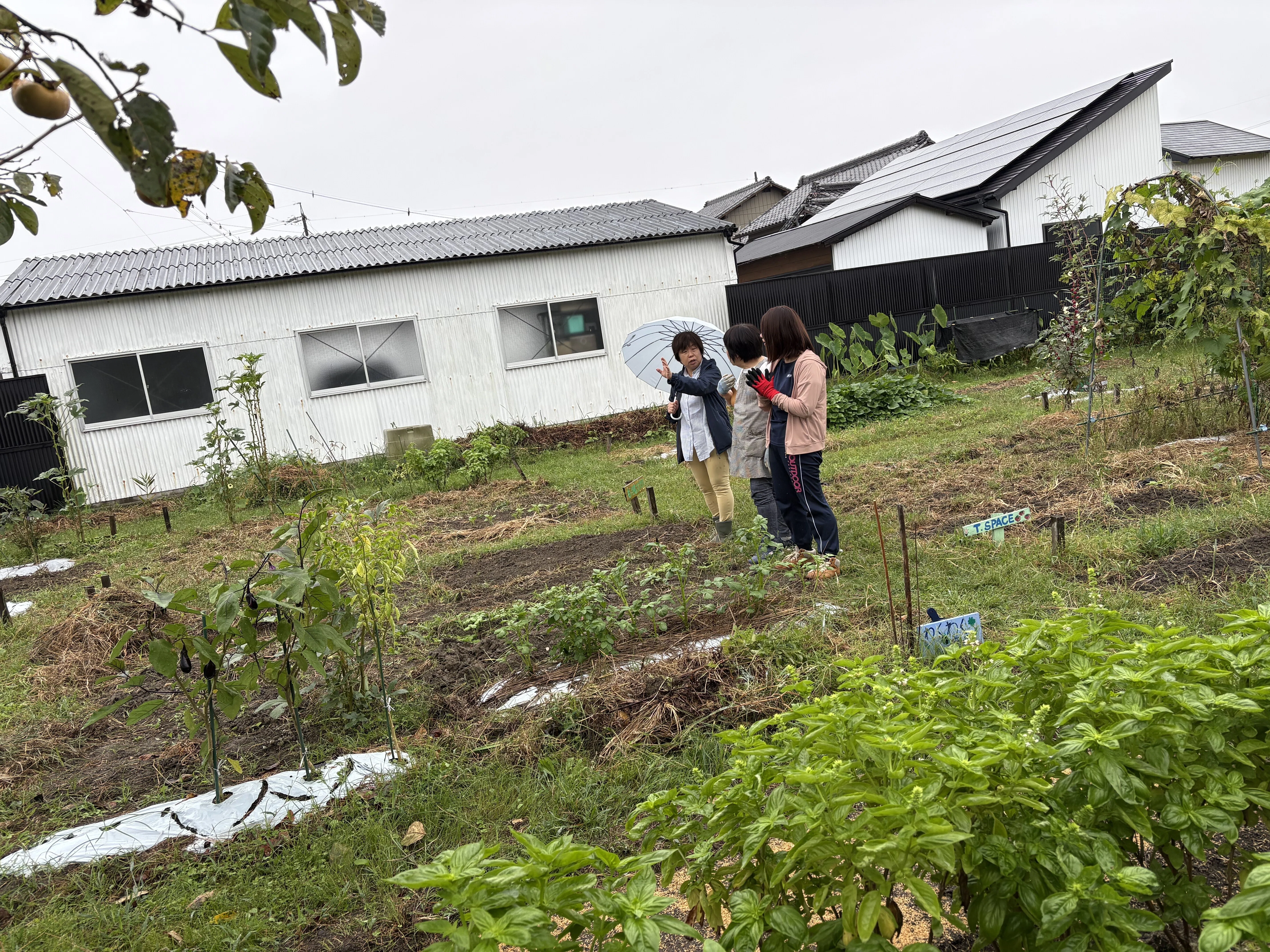 はままつ農ライフ ～土から学ぶ～｜浜松市公式note