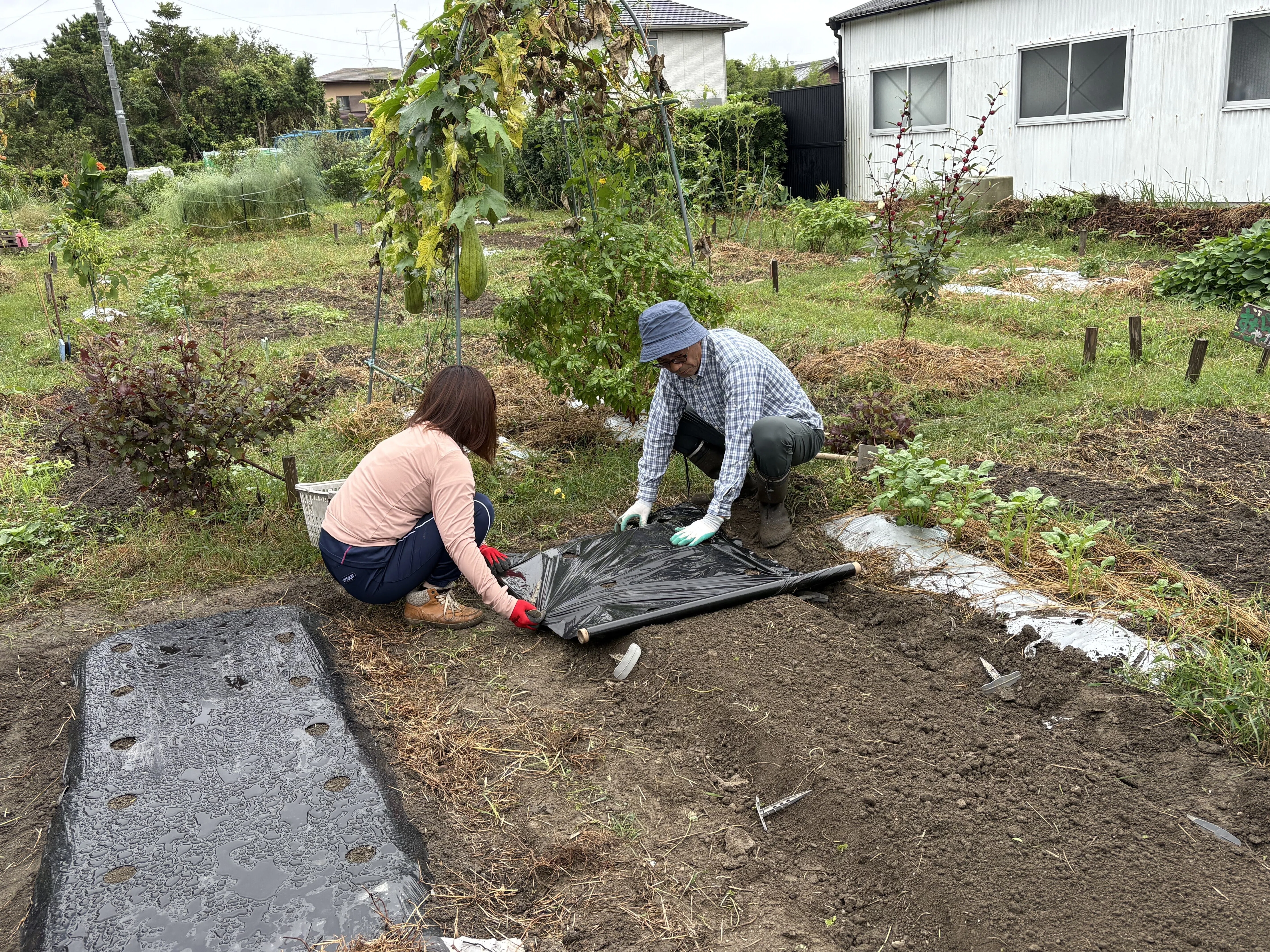 はままつ農ライフ ～土から学ぶ～｜浜松市公式note