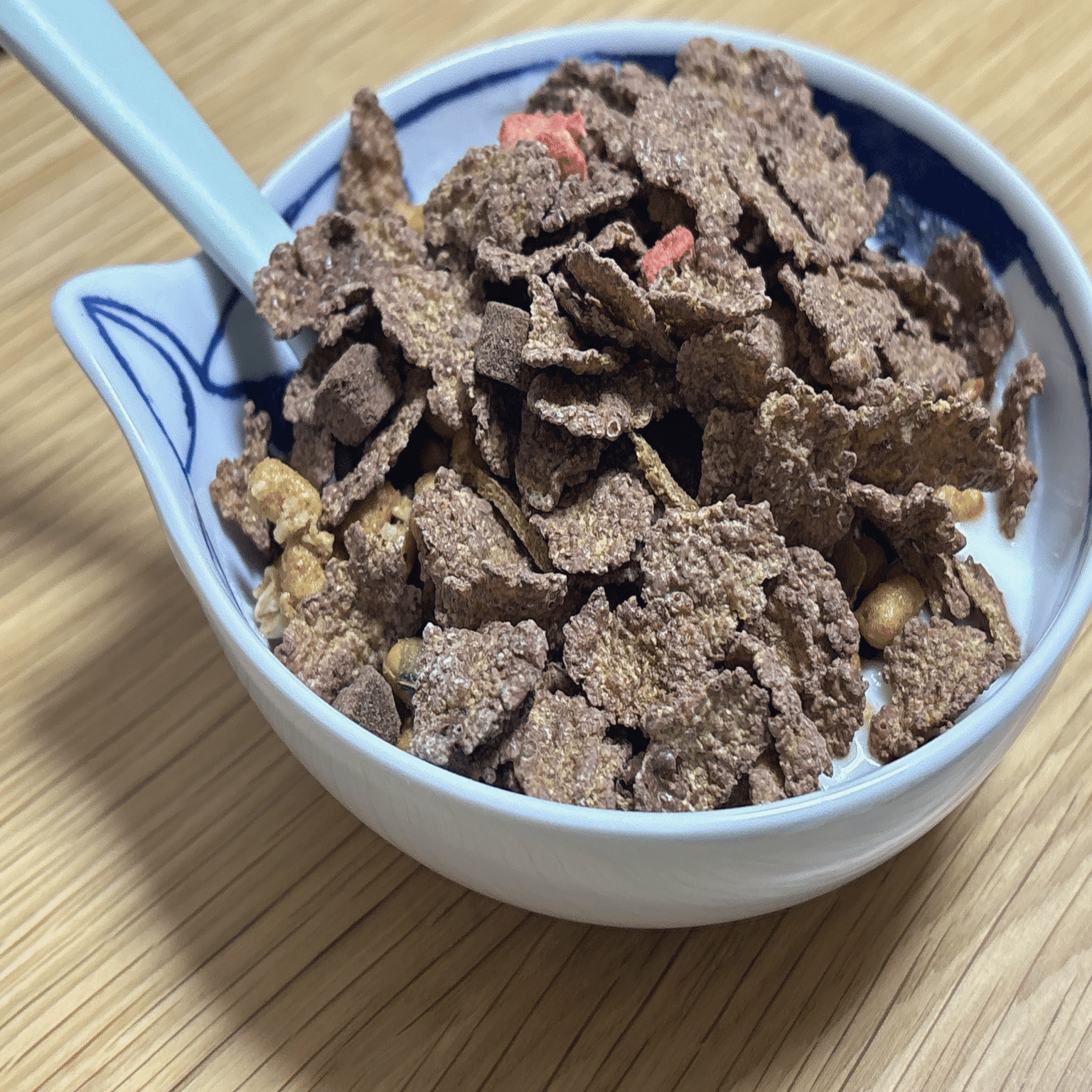 25.11.13(木) ダイエット88日目｜もぐちゃみ