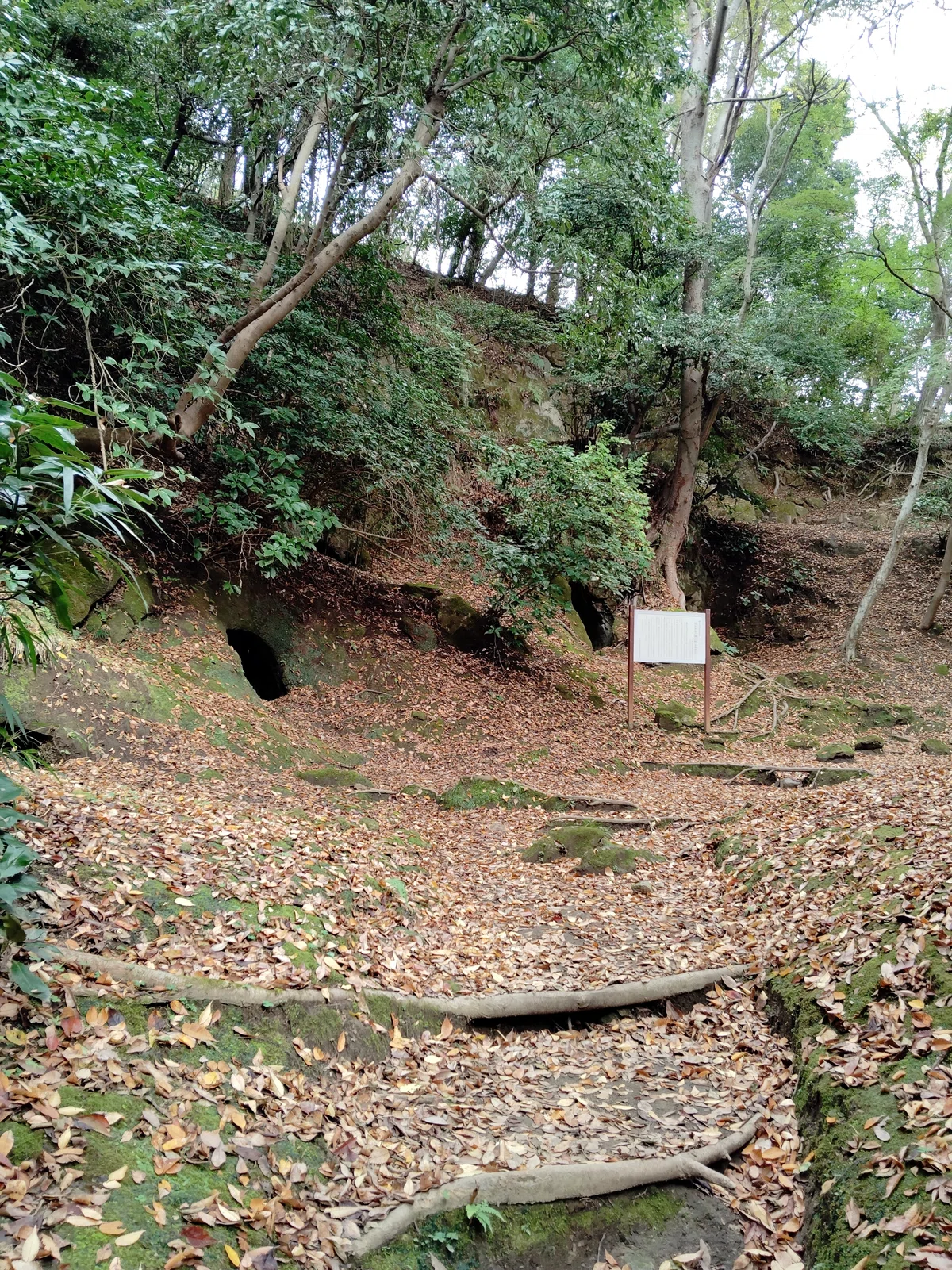 【写真 8ぶんの7】谷間の横穴墓の遺跡の写真