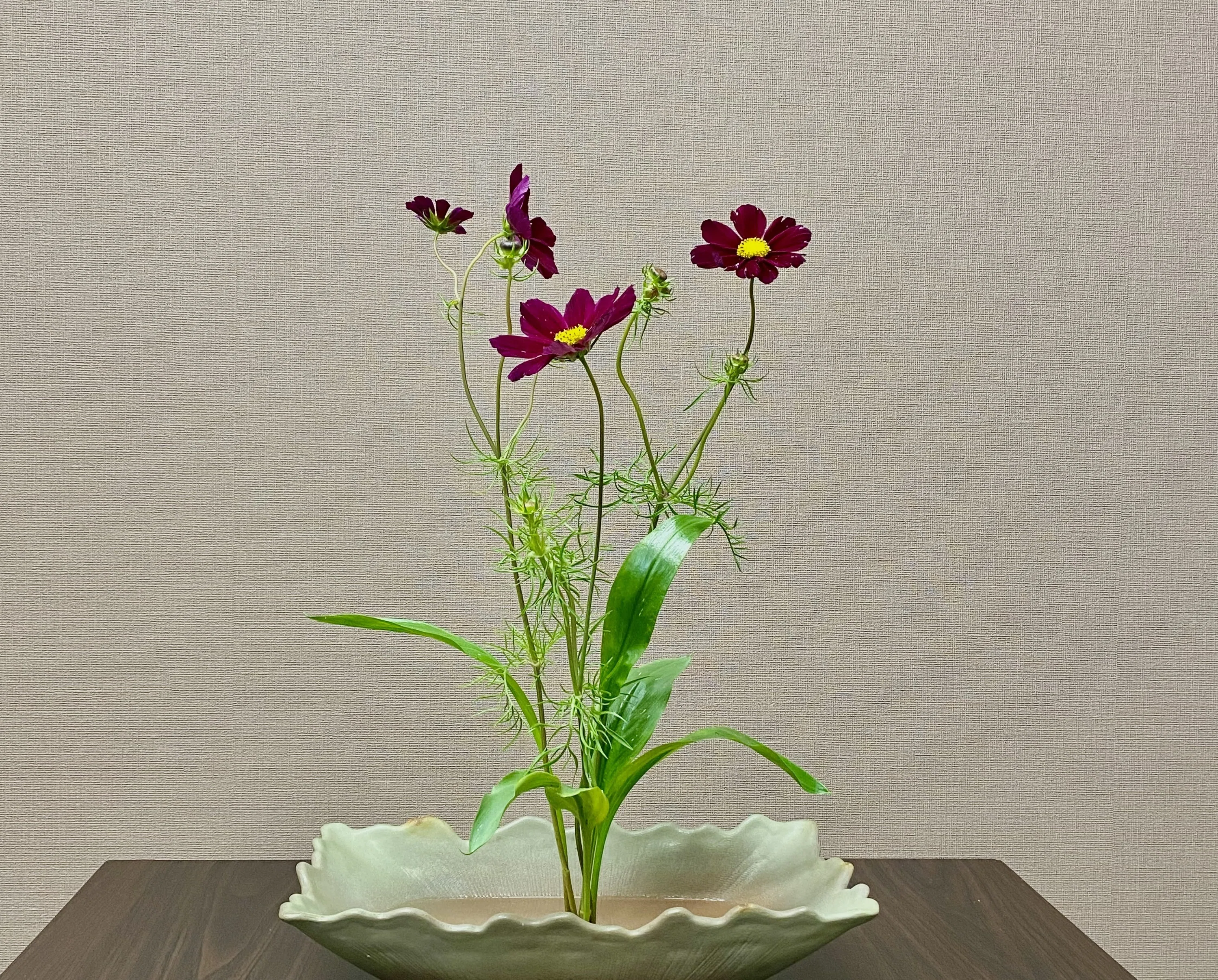 コスモス 花瓶 花 ミニチュア フラワー コスモス 花瓶 - メルカリ