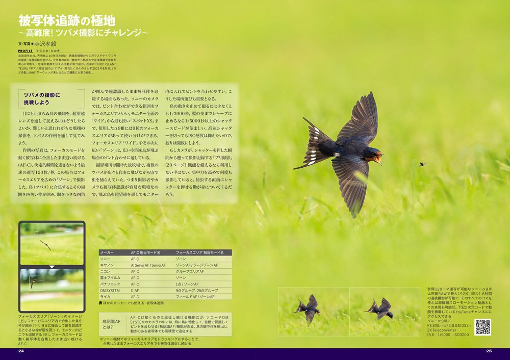 8月20日削除！ BIRDS OF A FEATHER 142 BIRDER12月号の見どころ｜ブンイチ（文一総合出版）