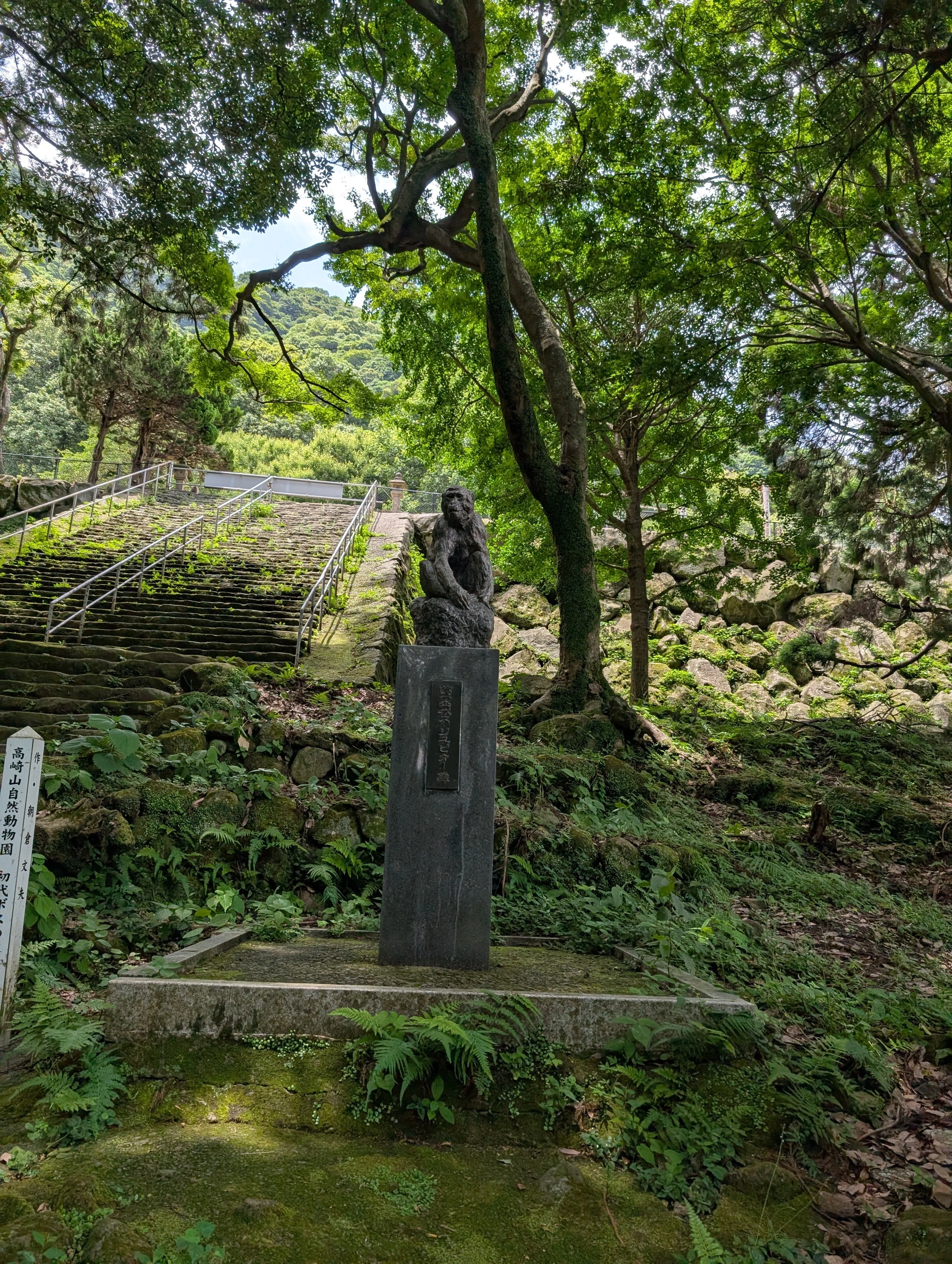 7月、うみたまごのセイウチと高崎山の猿に会いに行った話・2｜灰音