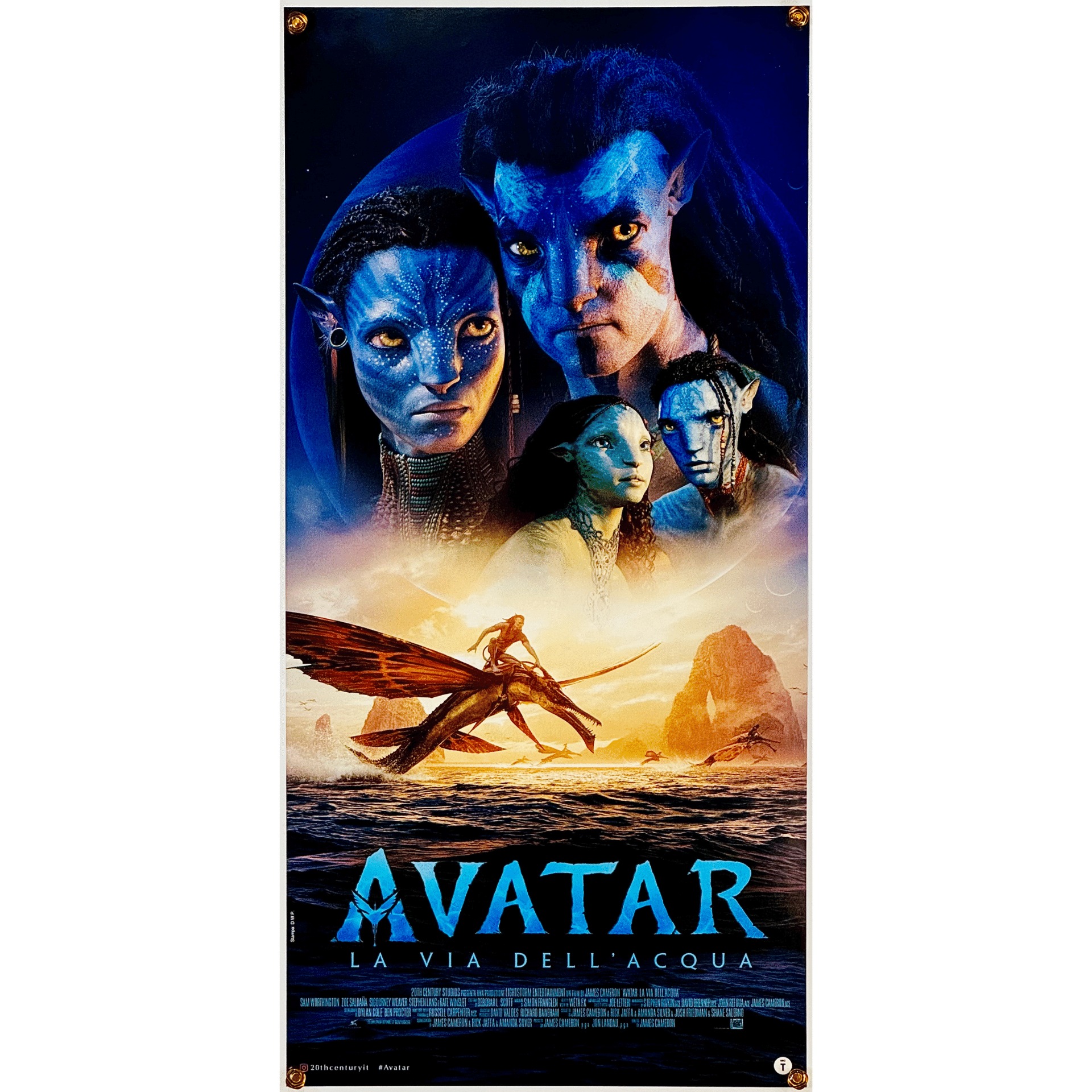 遠い惑星に広がる大自然！アバター【海外版オリジナル映画ポスターの