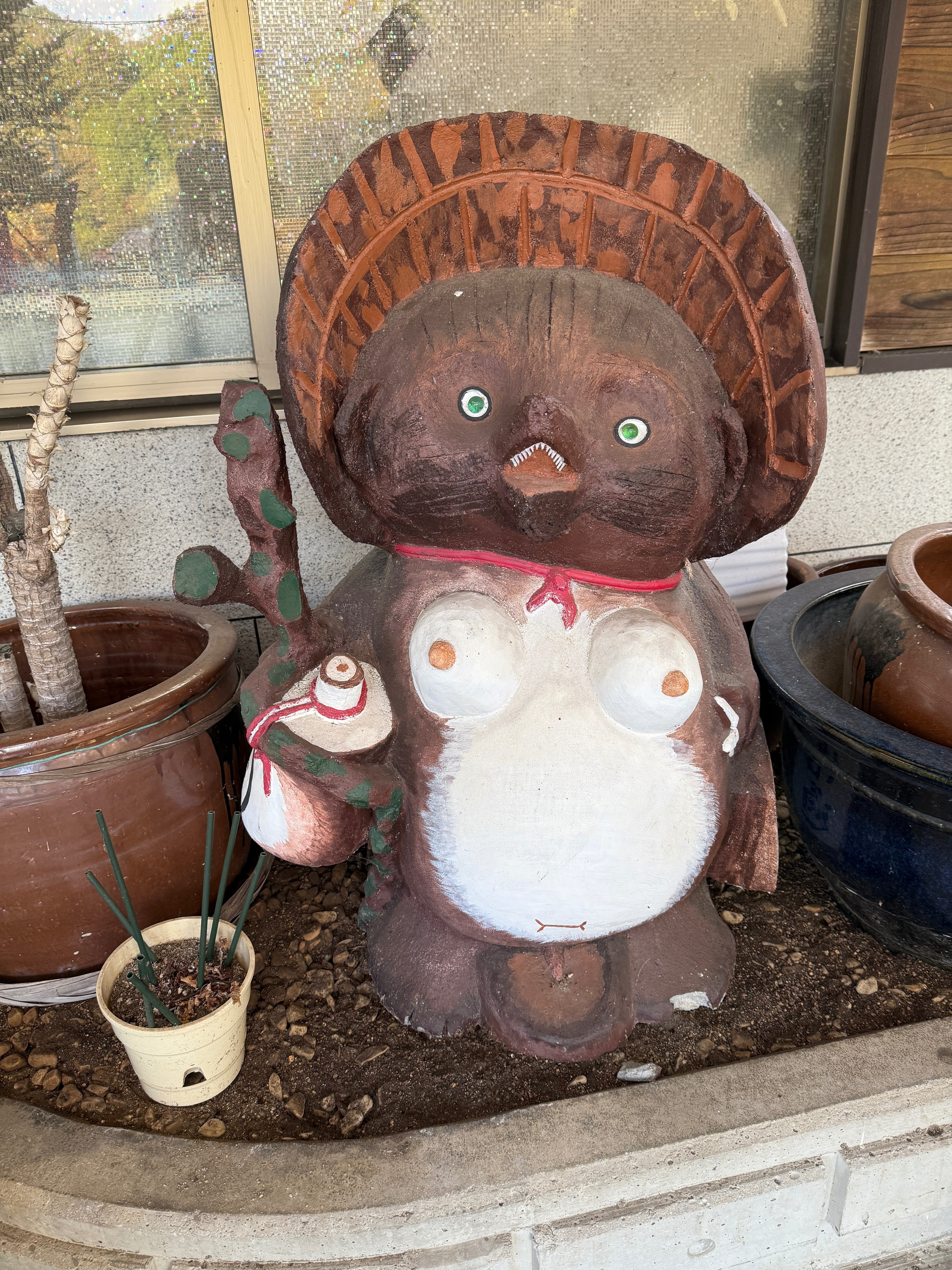 秘蔵 狸コレクション Vol.16｜Masafumi Gotoh