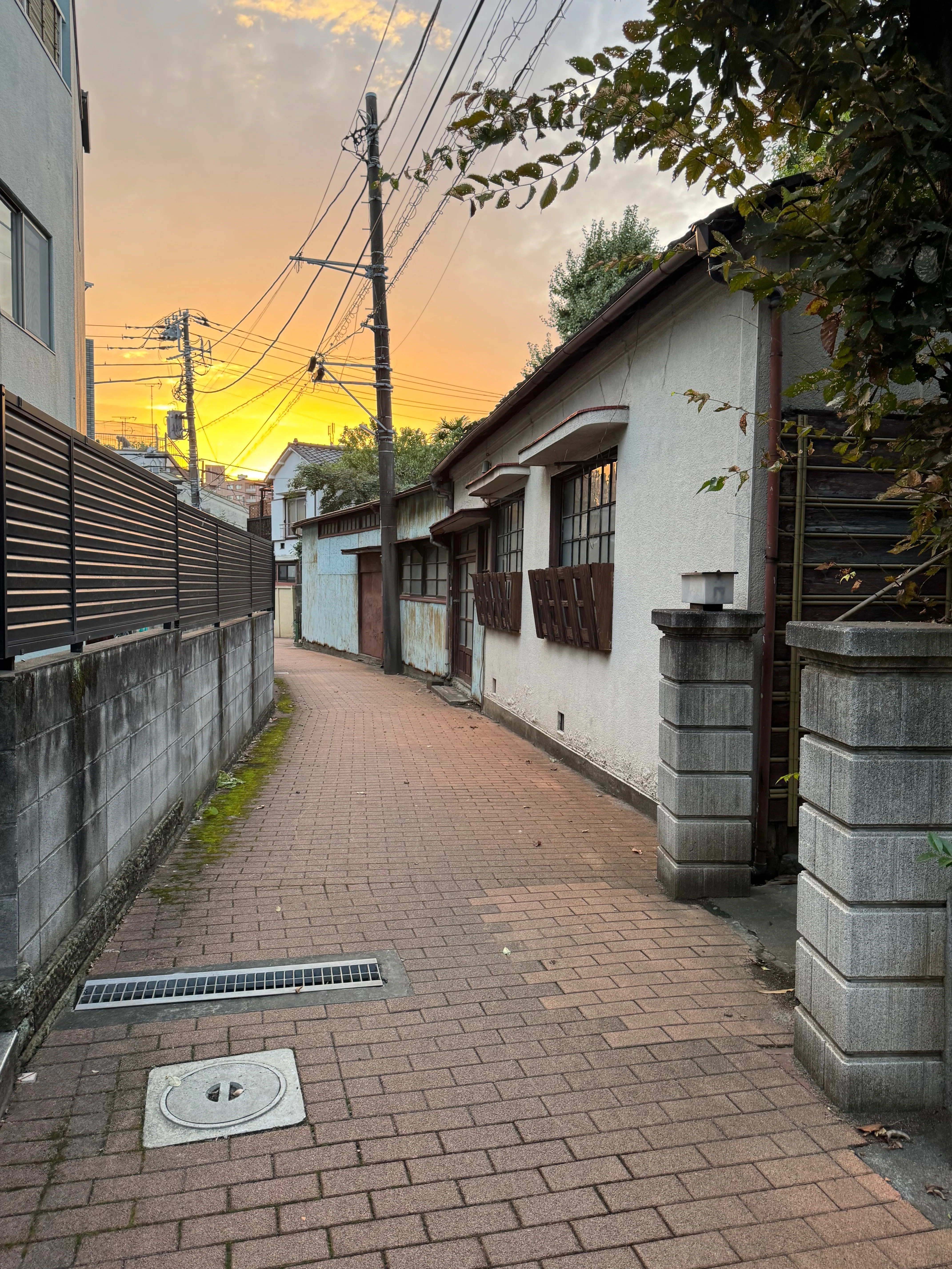 東京探索記 60 荒川区西日暮里 ～トタンとタワマン～｜露塵散