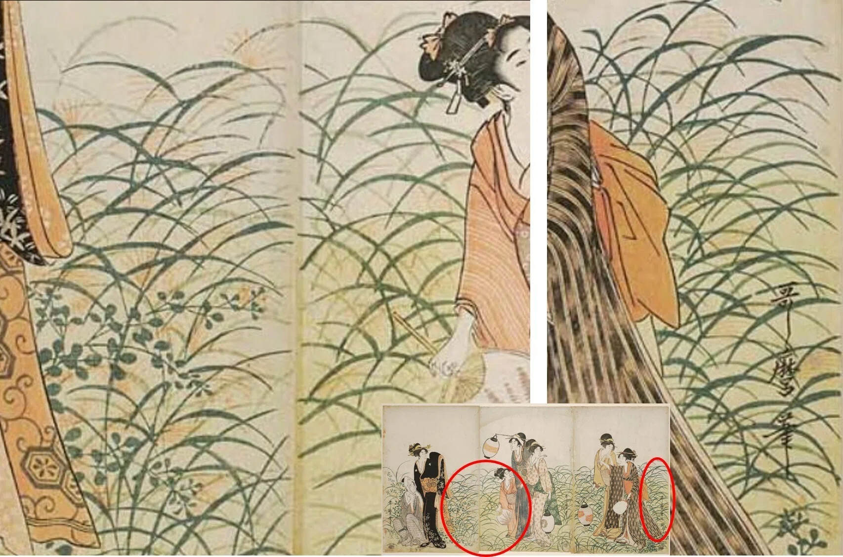 記事＜植物画とは何か＞補遺：「植物の美」の由来を確かめに外に出る