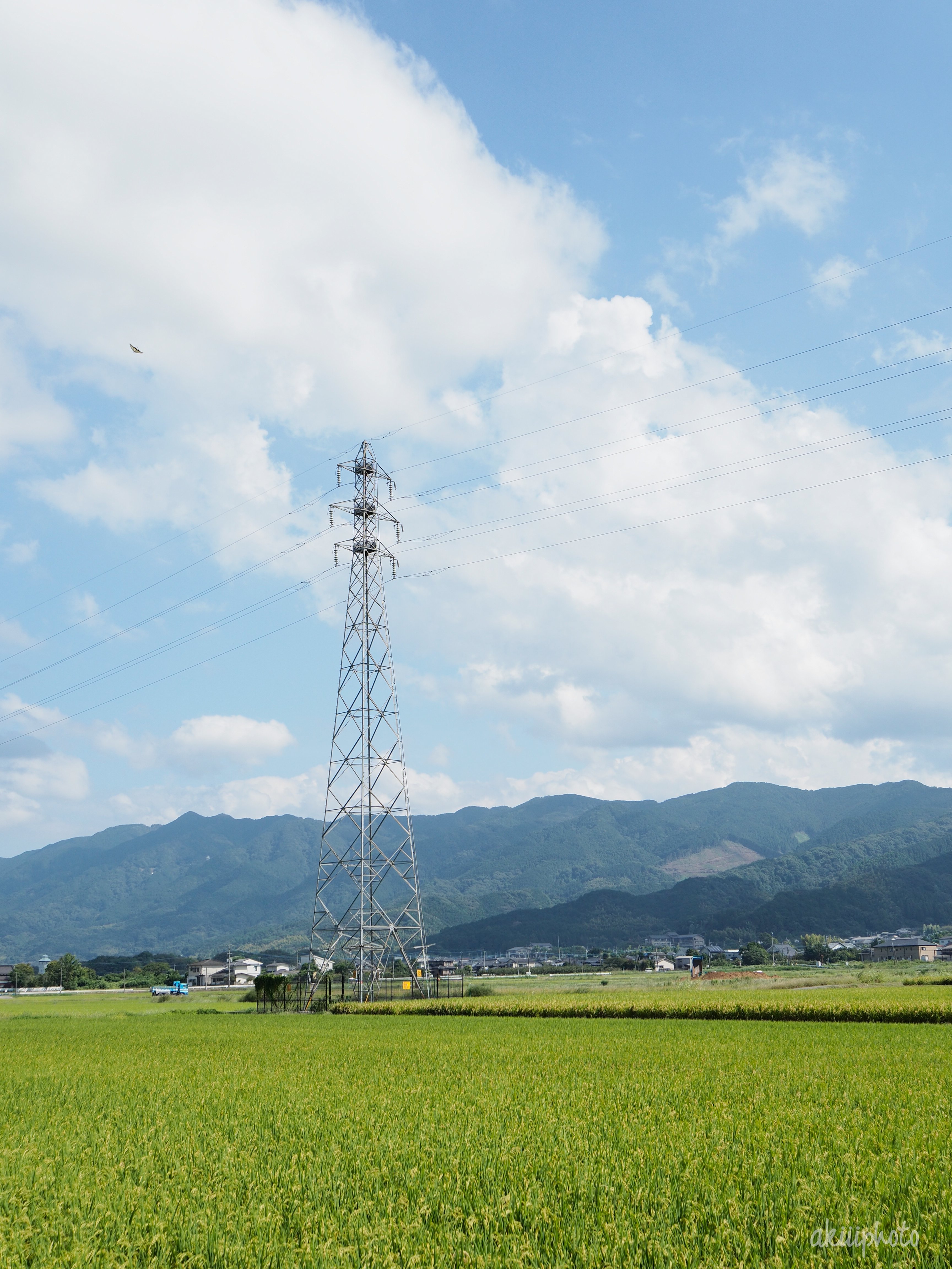 光と影を見ると良い。｜maaaa