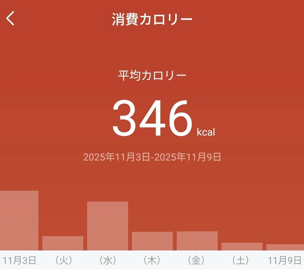 ダイエット1週目 振り返り|さま