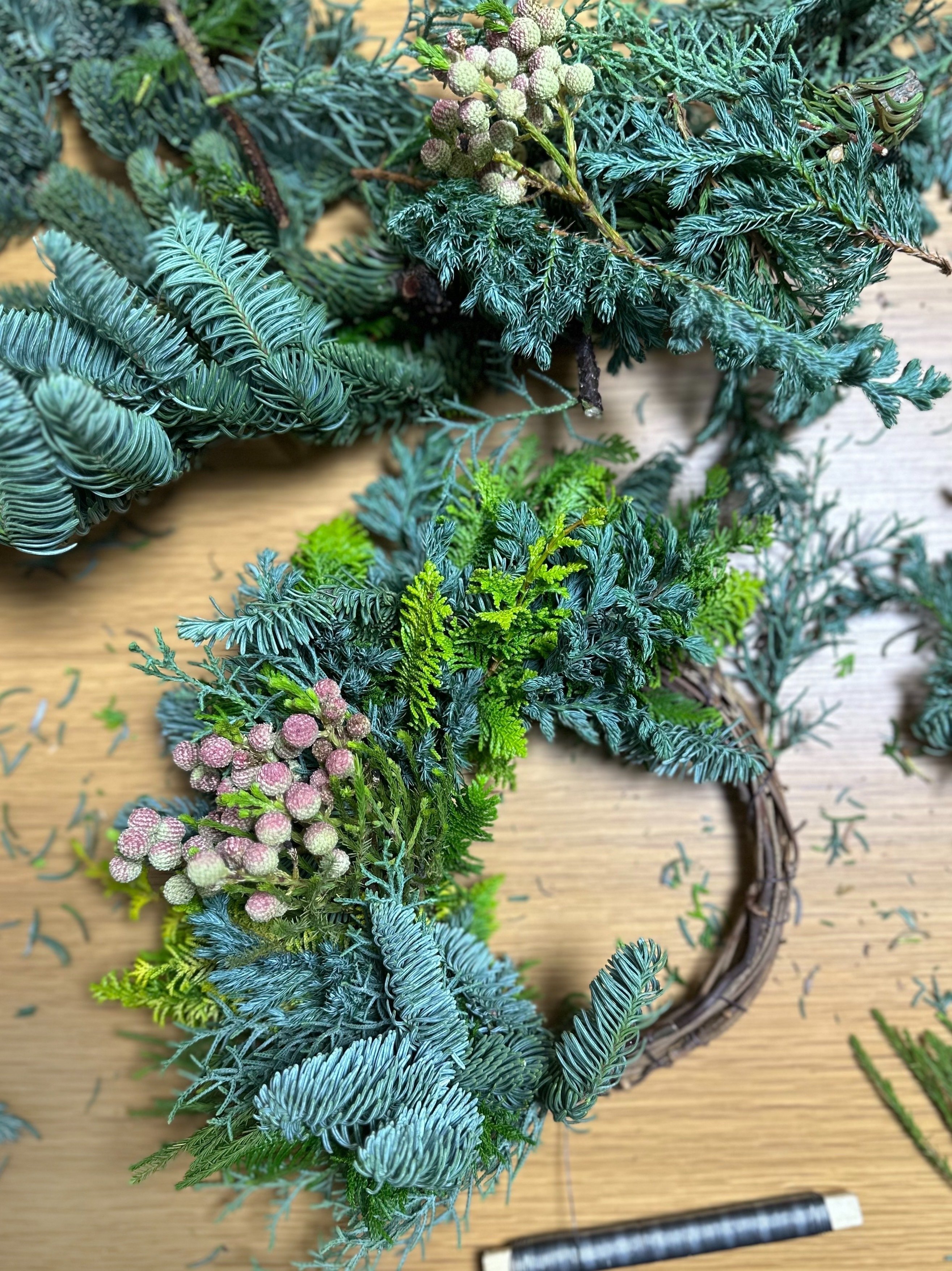 メロメロになる香り・ブルーアイスという名の樹｜ichirin