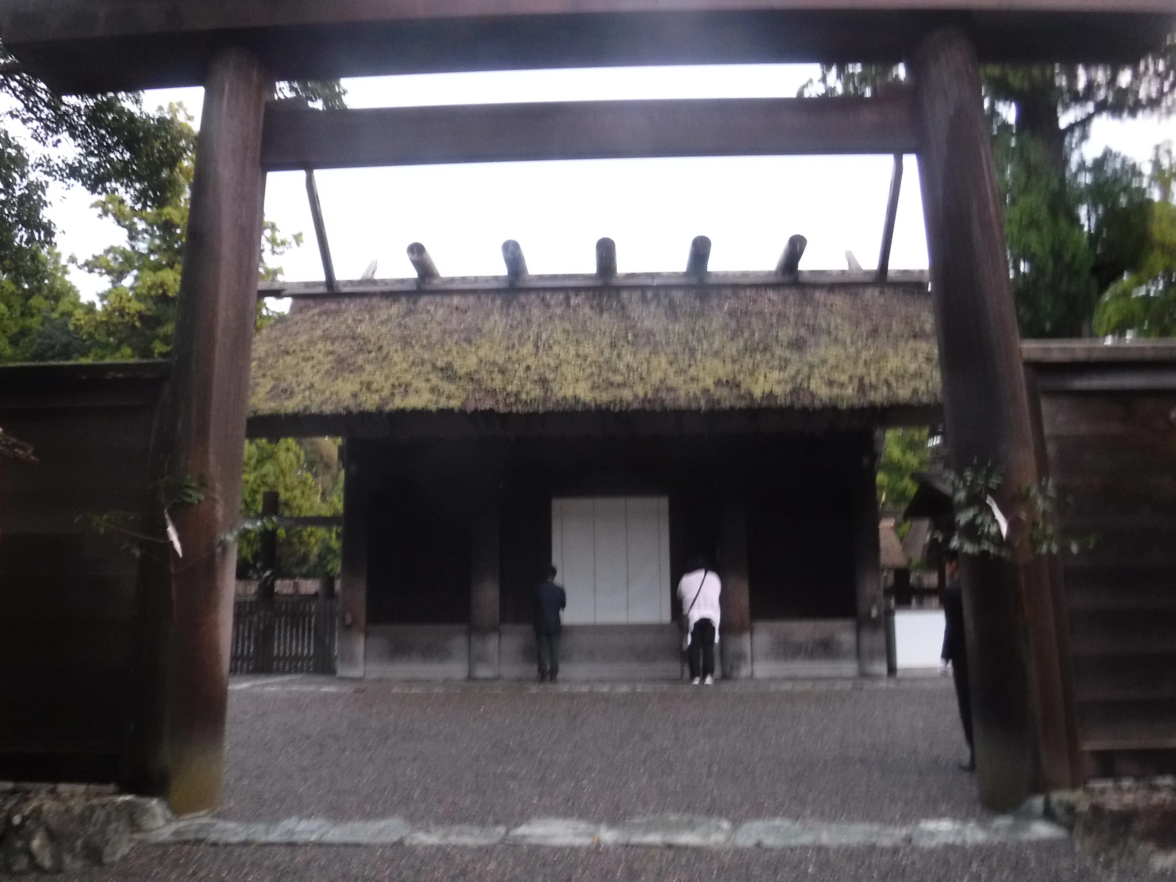 豊受大神宮 (伊勢神宮 外宮）参拝｜toyotaboxy