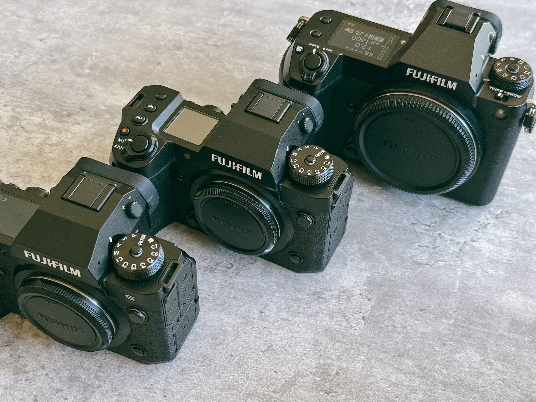 FUJIFILM X-H2を導入しました｜猫写真家 あおいとり