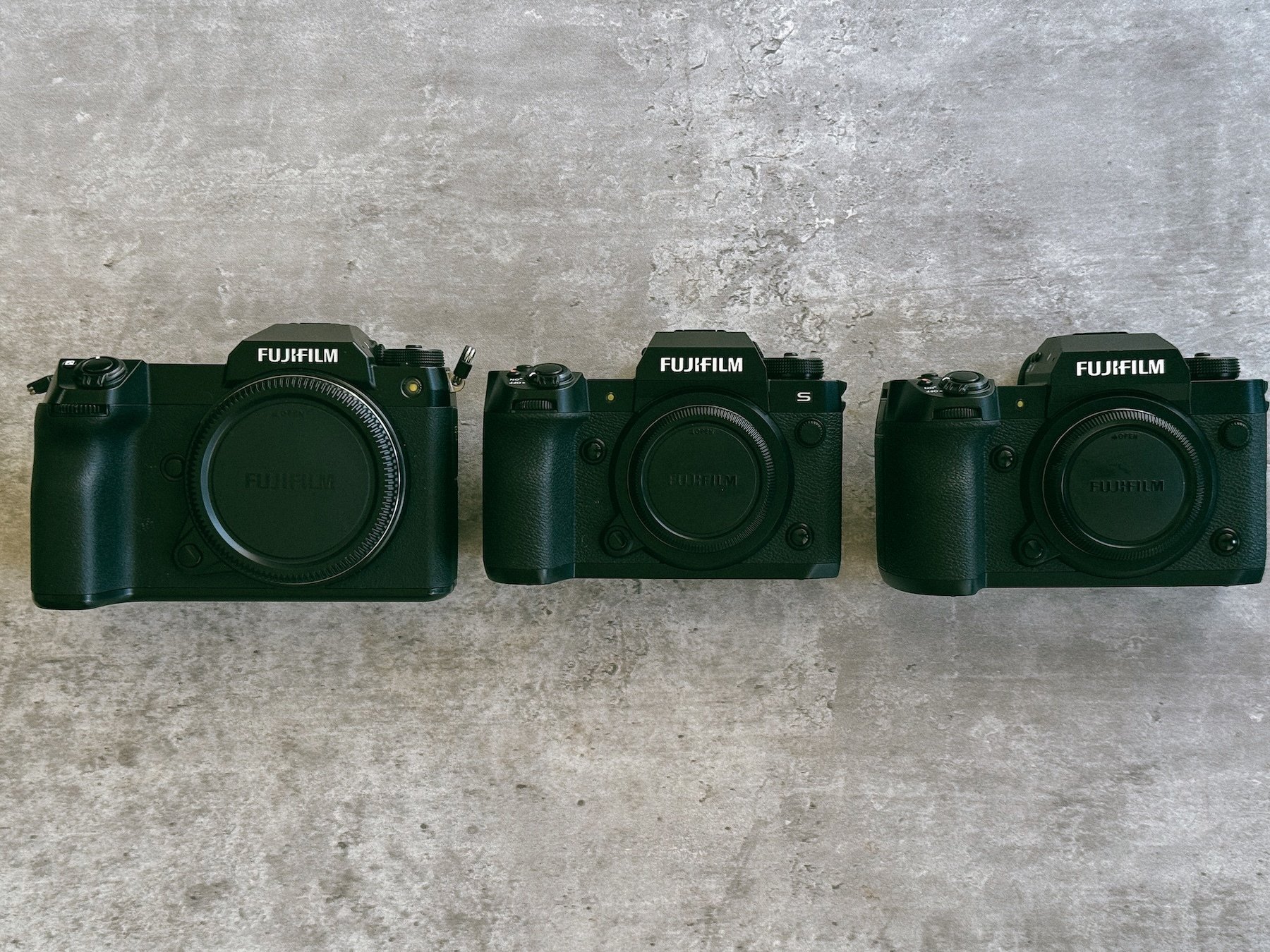 FUJIFILM X-H2を導入しました｜猫写真家 あおいとり