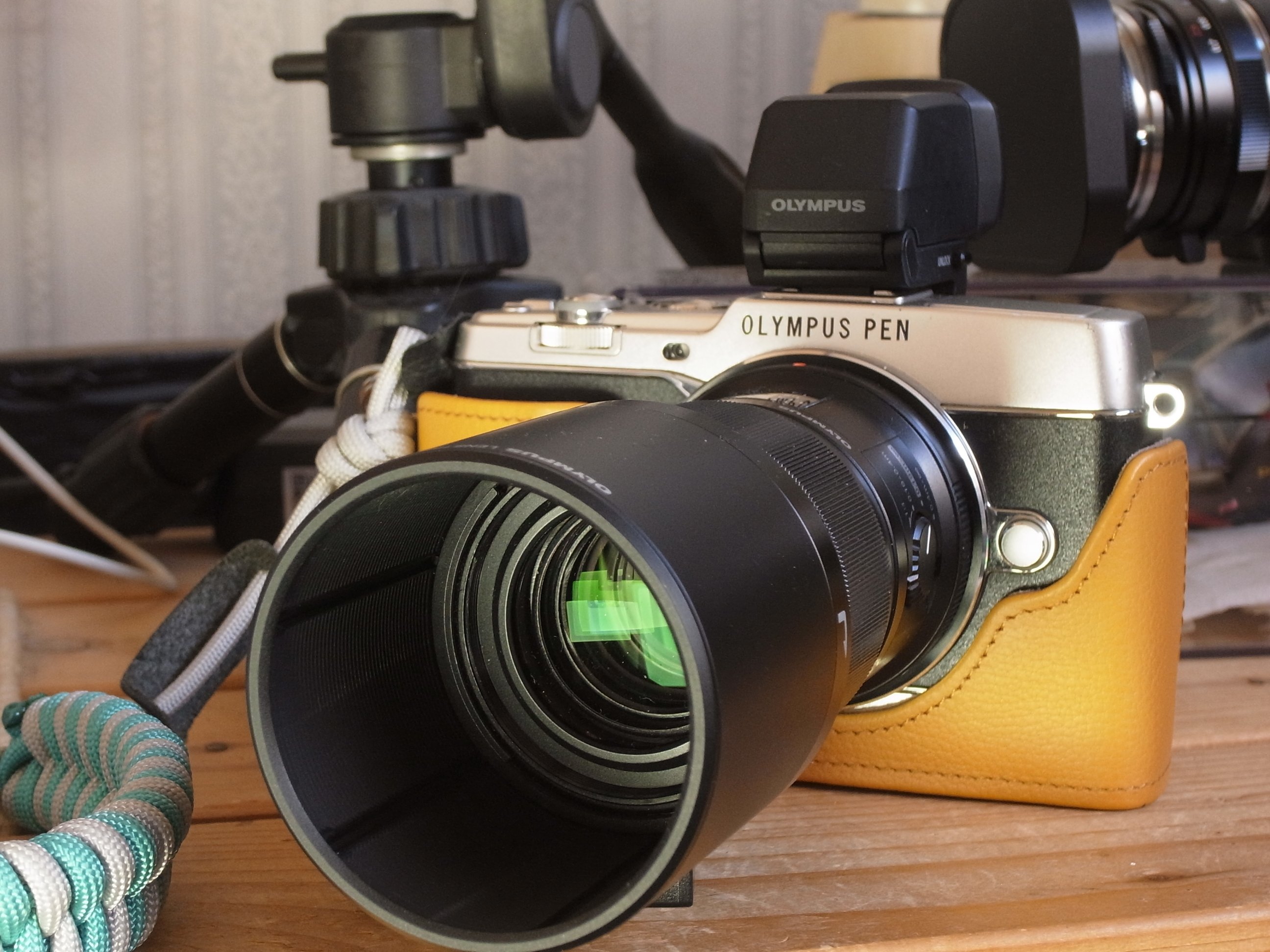 レンズ沼あれこれ：マイクロフォーサーズで秋を拾いに｜ひっくすK