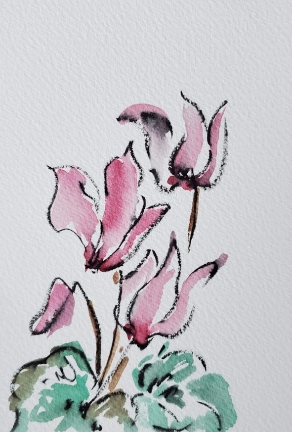 11月14日のお花シクラメンのイラストと写真集📚｜こうこ