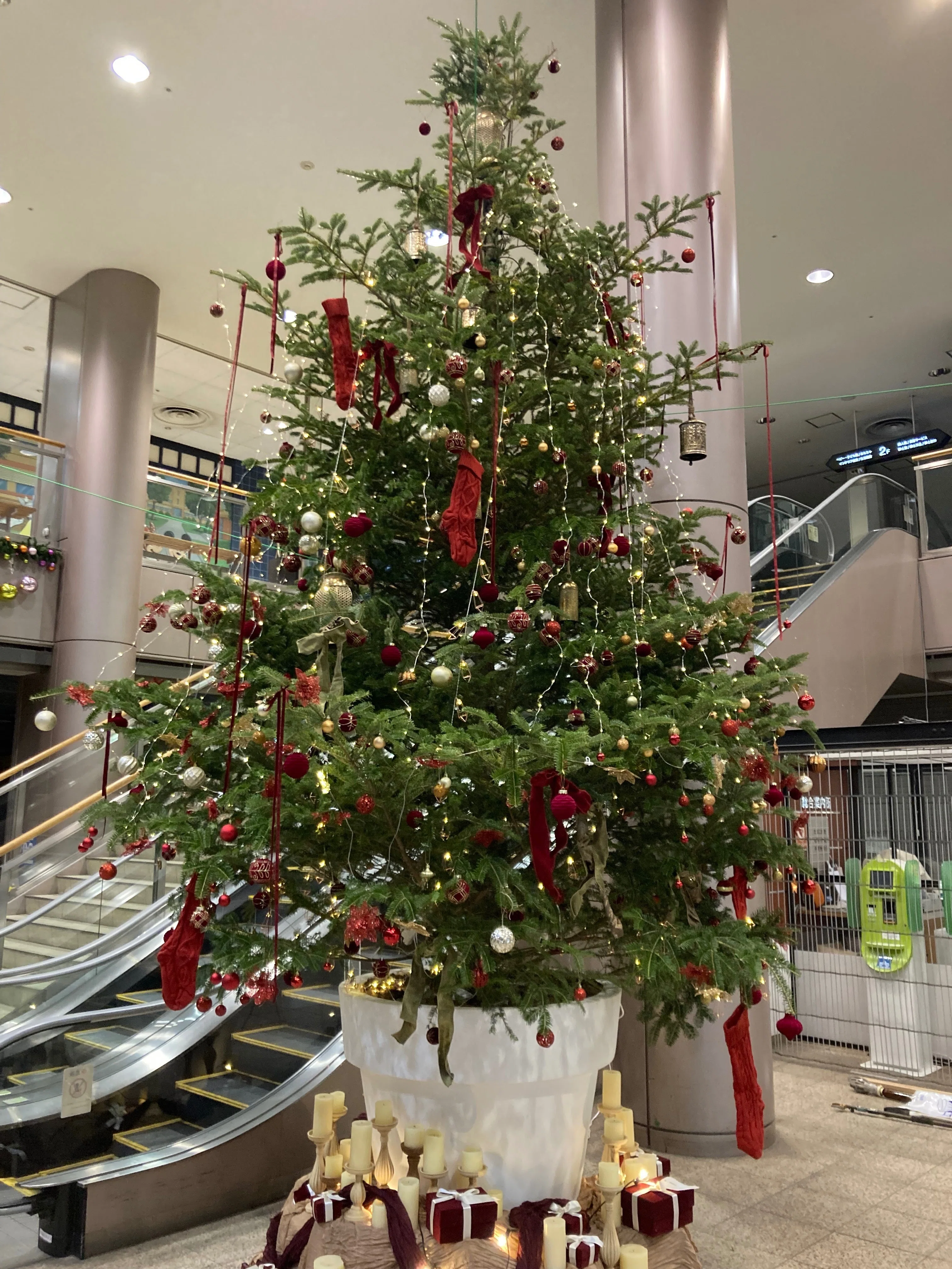 FKD宇都宮店に巨大クリスマスツリーが現れた！｜福田屋百貨店